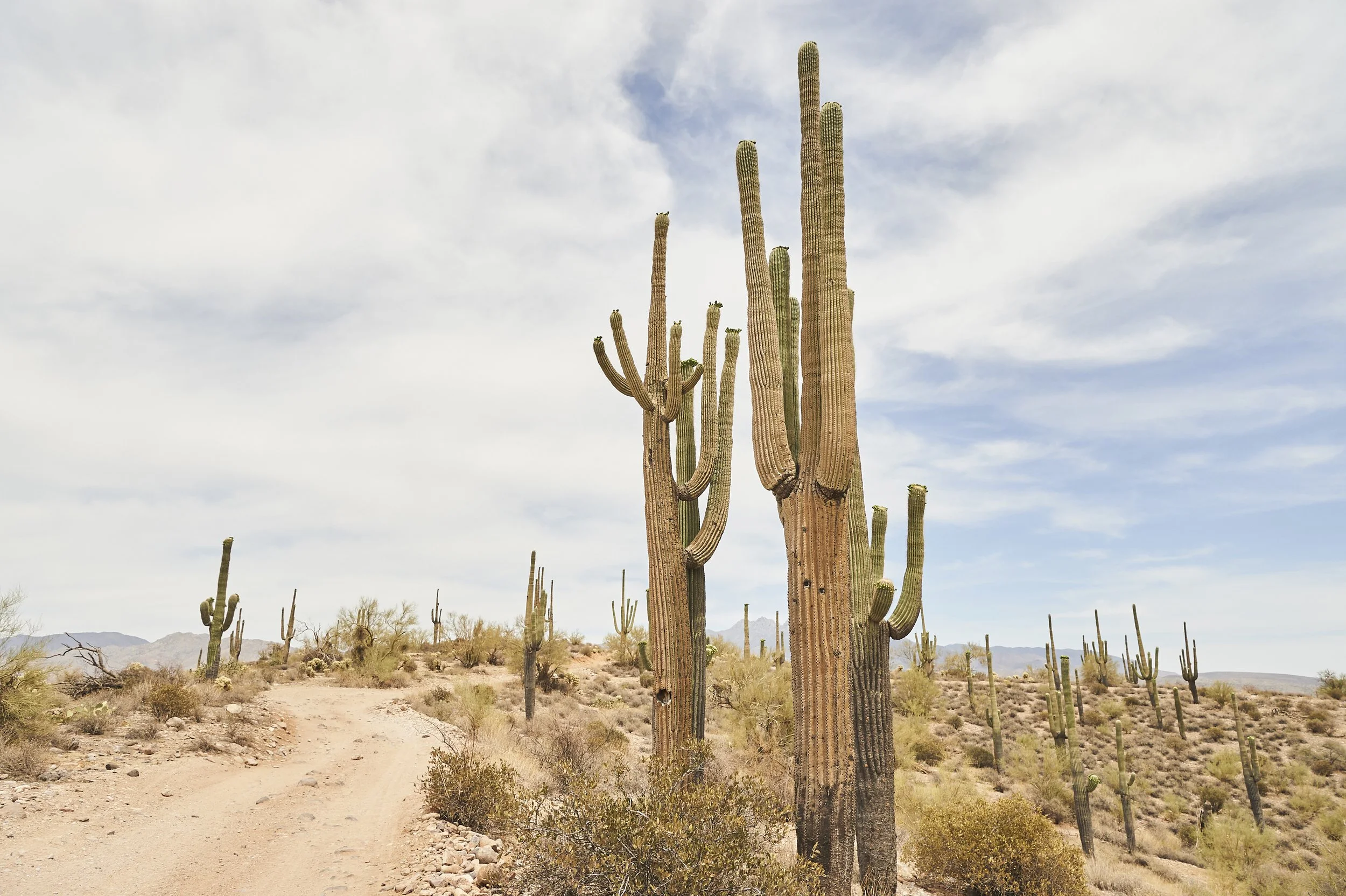 Overview 27 DSC_9454 copy.jpg