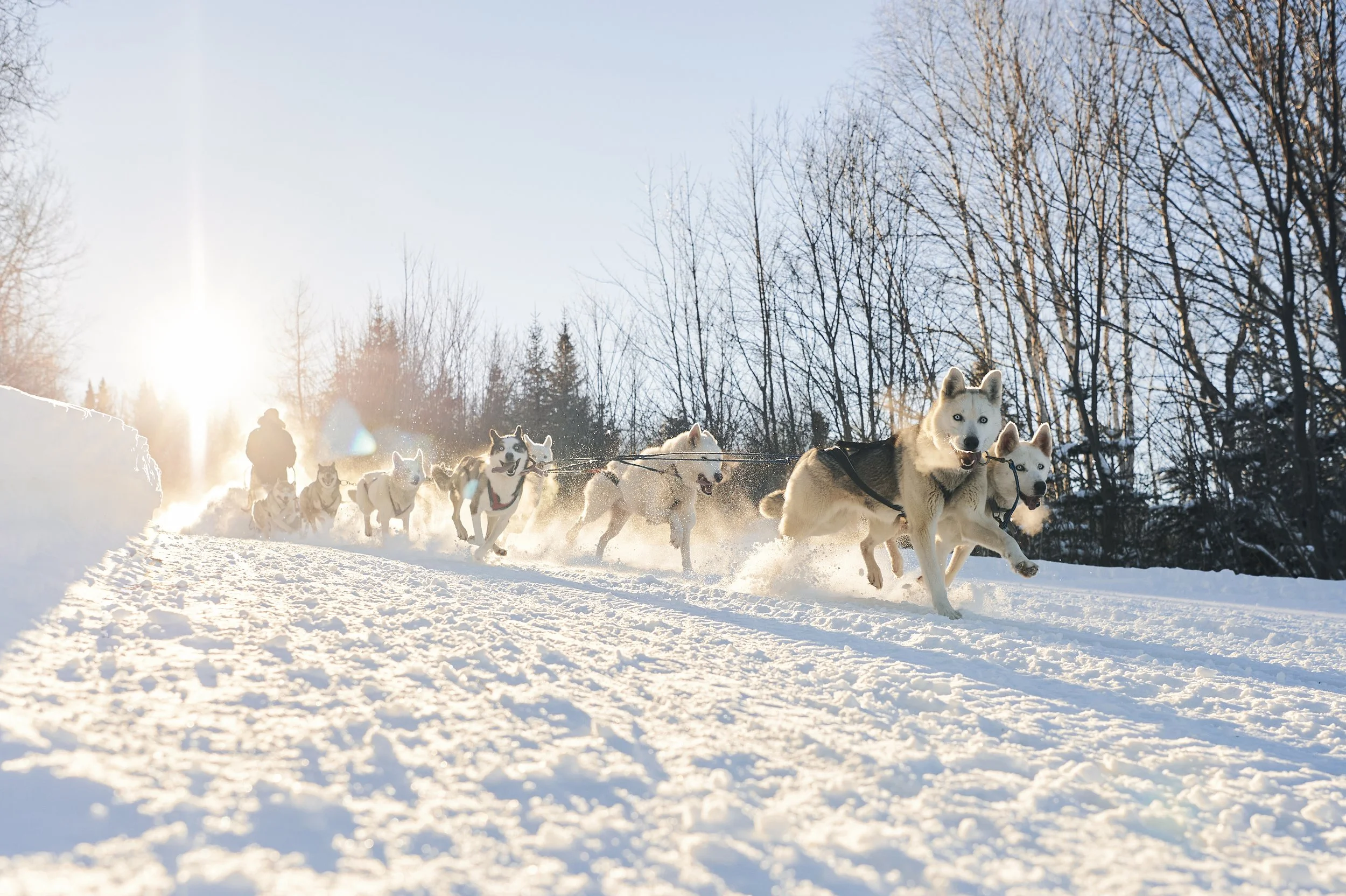 Overview 37 ACTIVE 57 MushMaine-372.jpg