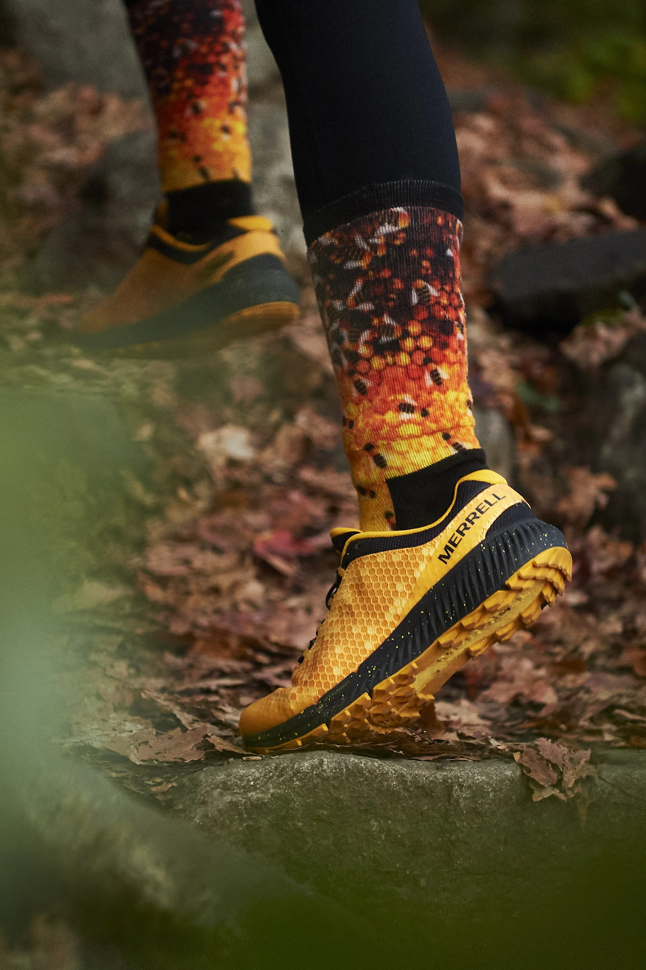 Overview 02 Myra_1016.jpg