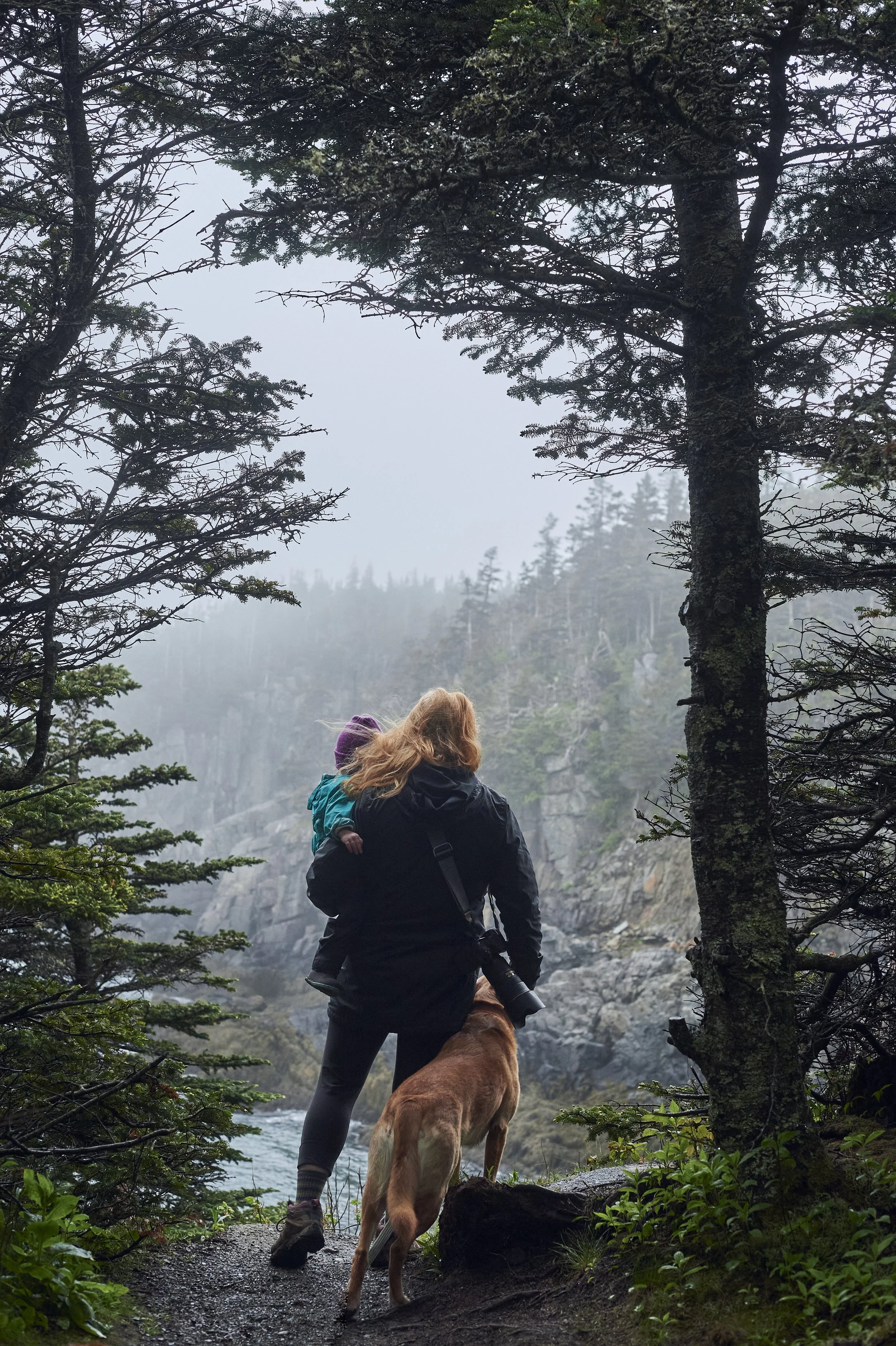 Overview 07 ACTIVE 54 Jun 05 20210586.jpg