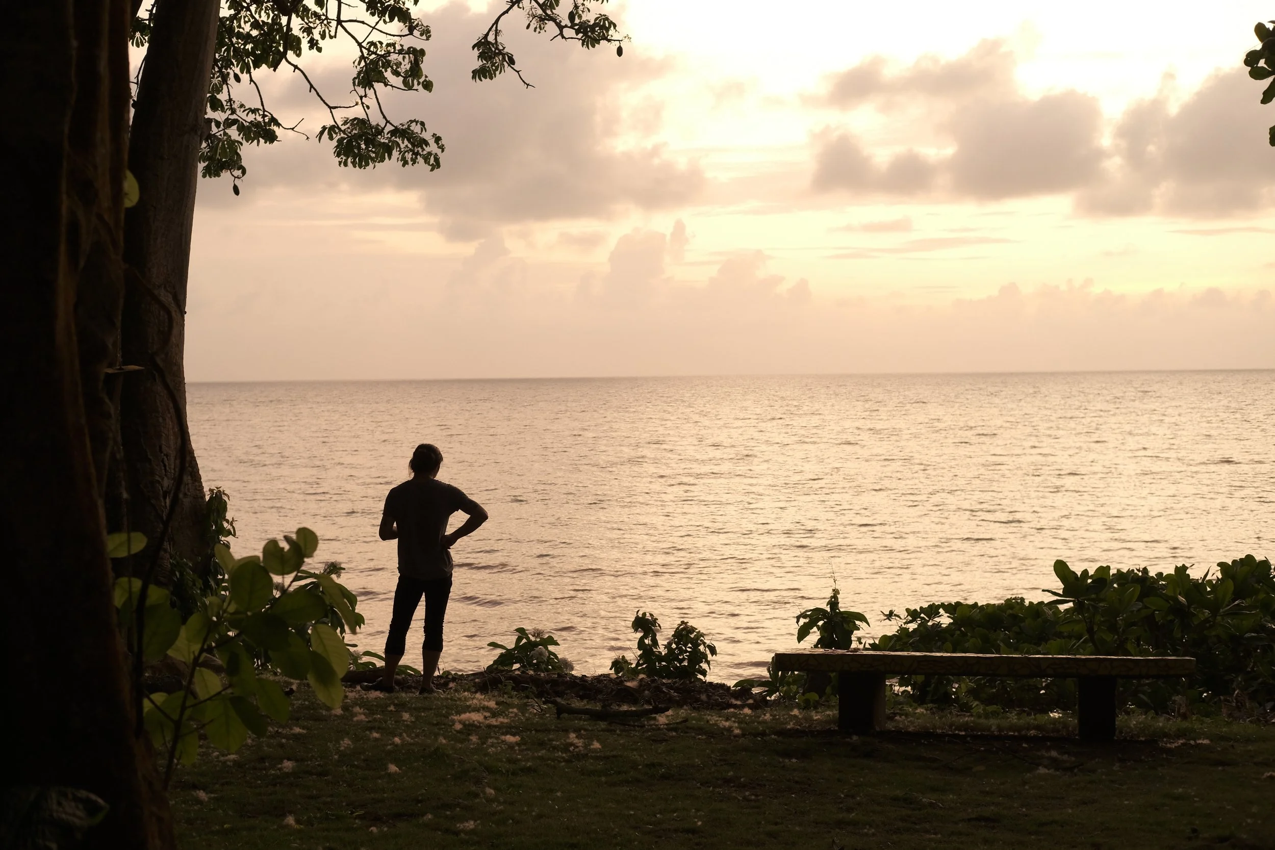 DSCF3179.JPG