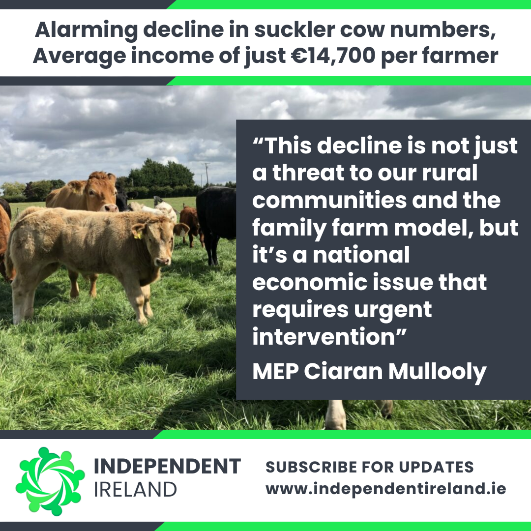 Alarming decline in suckler cow numbers, average income of just €14,700 per farmer