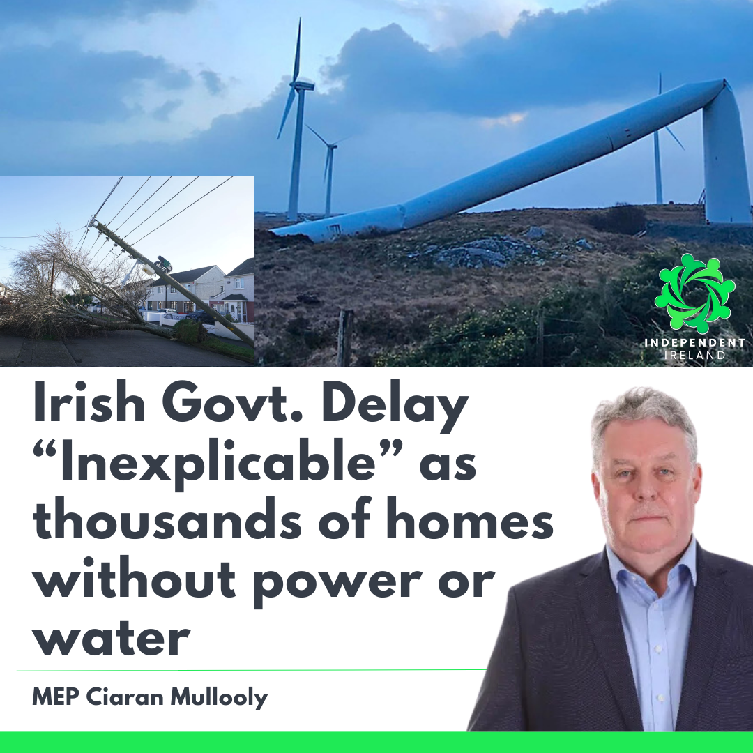 MEP calls on Irish Government to speed up response to offers of help from Germany and Denmark