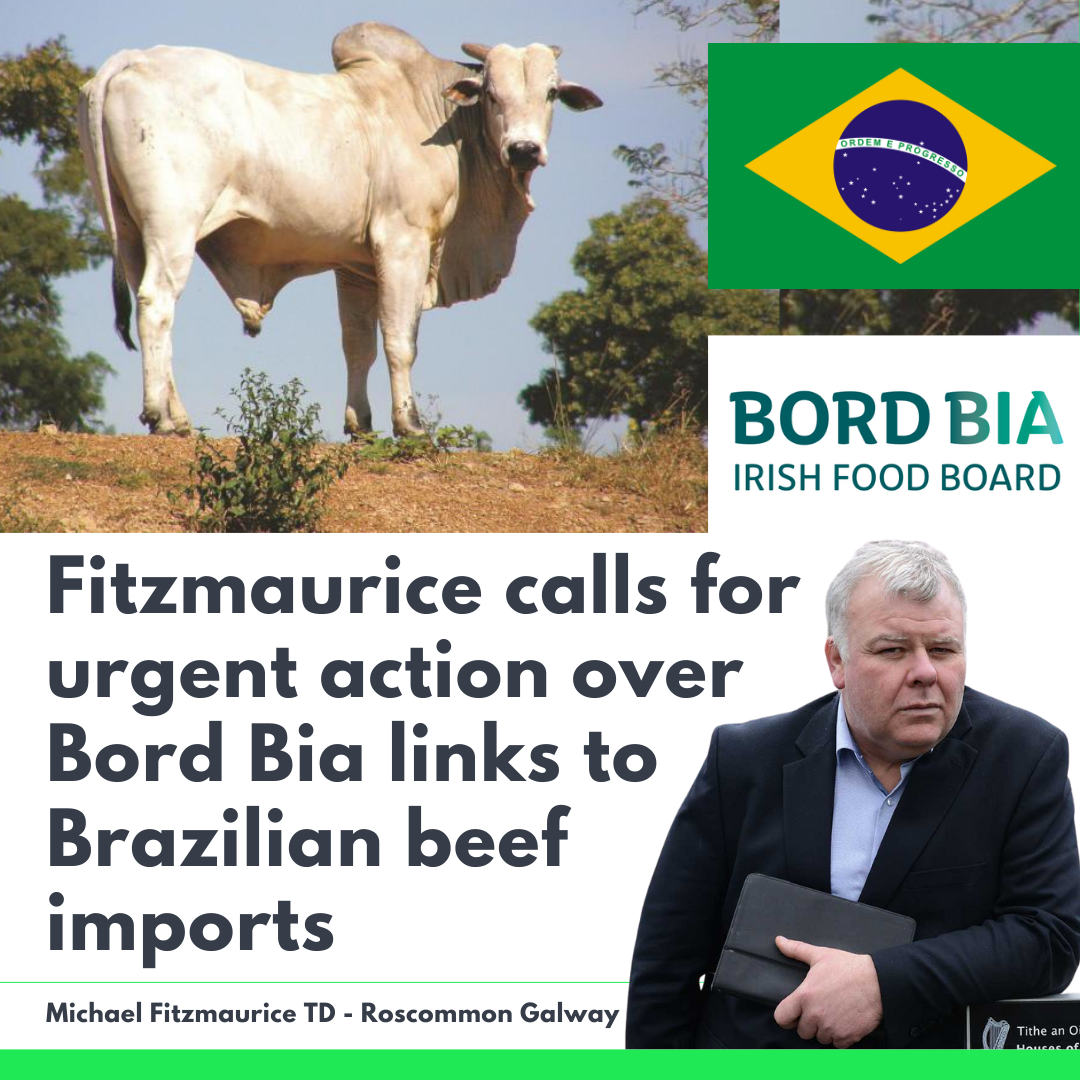 Fitzmaurice calls for urgent action over Bord Bia links to Brazilian beef imports