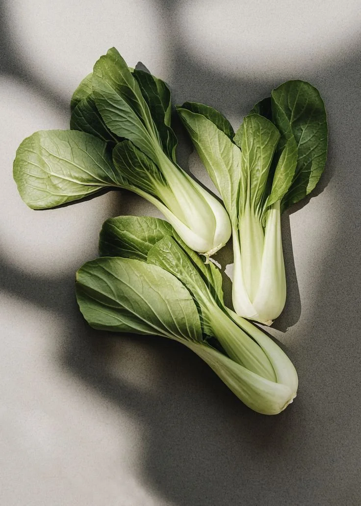 Endometriosis Super Foods