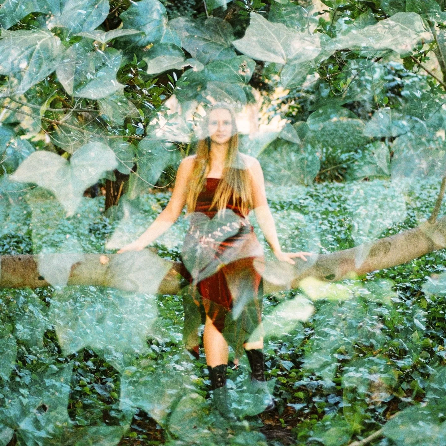 ✨ Tonight at the 459 Bar ~ 
Folk, Fable &amp; Forgotten Tales ✨

Ticket link in bio, or tickets on the door! 

Doors open at 8

8:15-8:45 - @savanah_solomon 
9:00-9:30 - @kierajasmusic 
9:45 - 10:15 - @georginadacheff 
10:30-11:00 - @jasminegannaway 