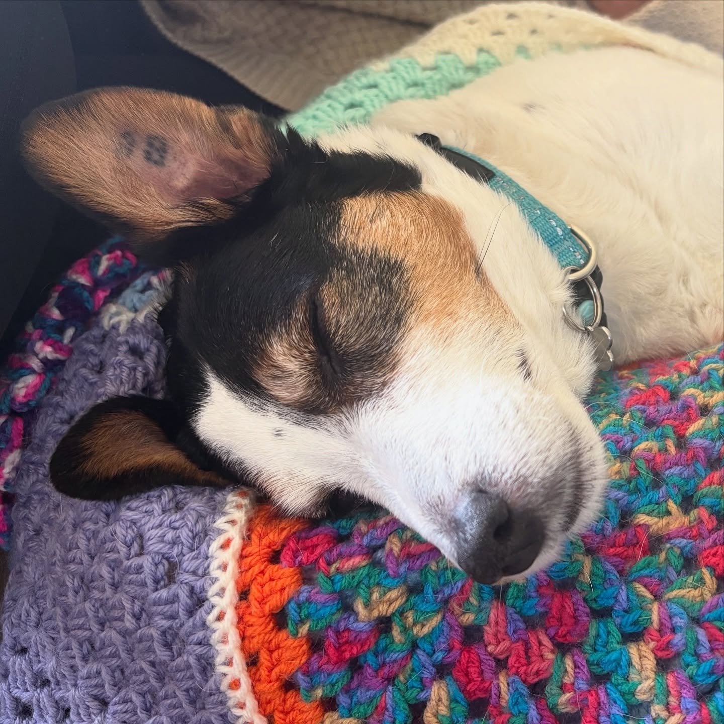 Slowing down and smelling the wildflowers this change of season ❤️🤧 
 
Remembering that it&rsquo;s these small moments that are truely what life&rsquo;s about! 💐

#hayfeveraesthetic