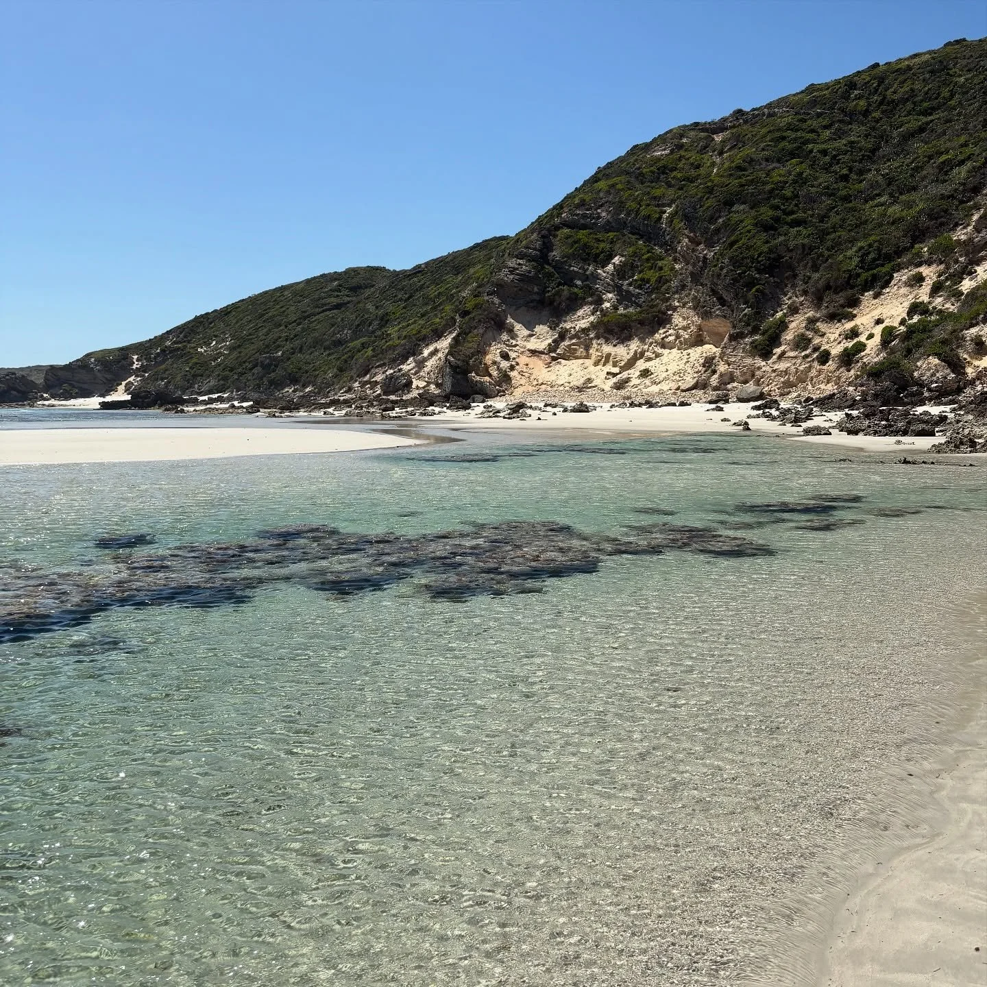 Re~wilding as of late. Getting my hands dirty - mulching, weeding and picking carrots 🥕 Reading, walking, eating the most delicious food and exploring new places with my love. The cool crisp air down here definitely makes you feel alive. 

Next gig 