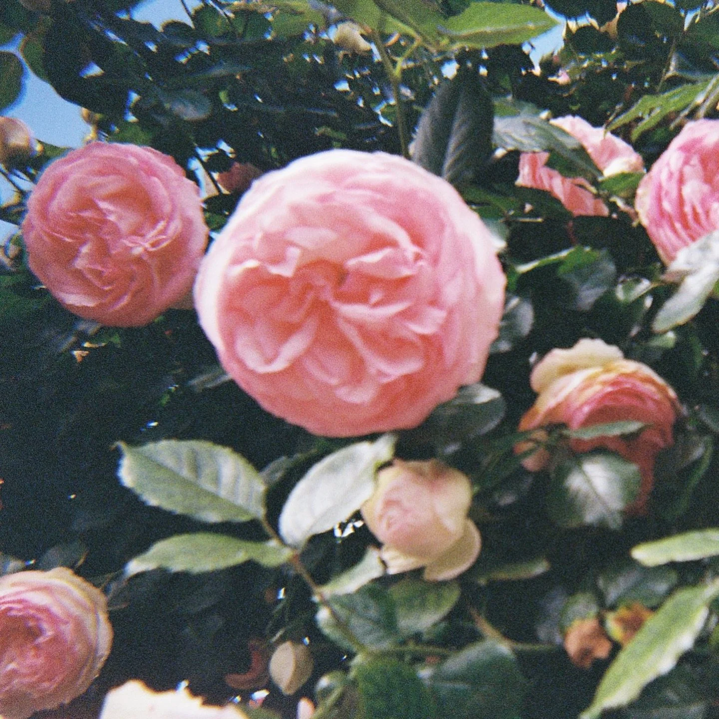 Life this last month has been full to the brim .. of so many wonderful things. Family. Friends. Sunrises. Music. Dancing. Nature. Laughter. Super Grateful! ❤️

I have one more gig to end this year &hellip; which will be this coming Sunday at @mooreri