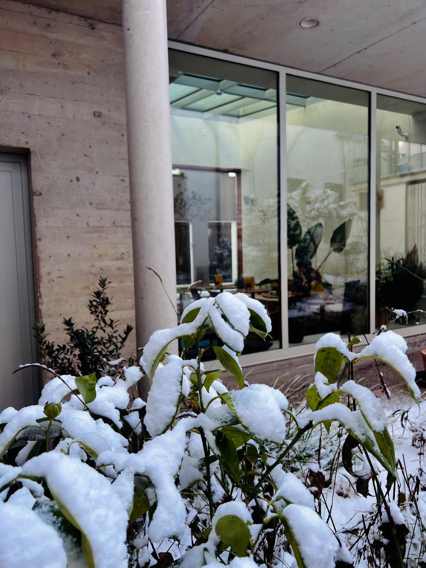 Happy 2026! ❄️❄️❄️
Wij zijn straks terug open! Heel veel zin in! 😍
Reserveren mag, walk in kan altijd!! 
www.amaro.gent/reserveer