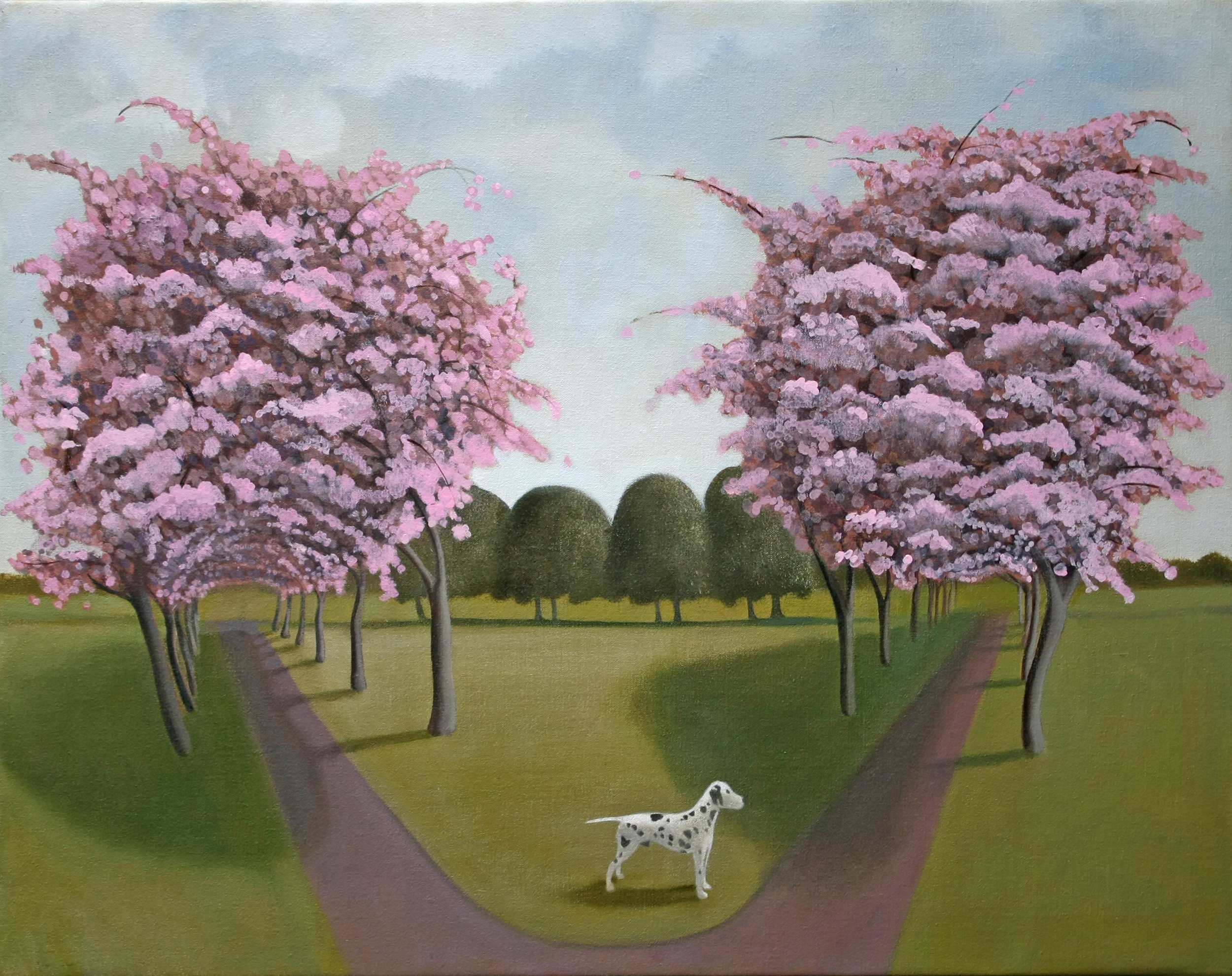 05 harrogate_stray.JPG