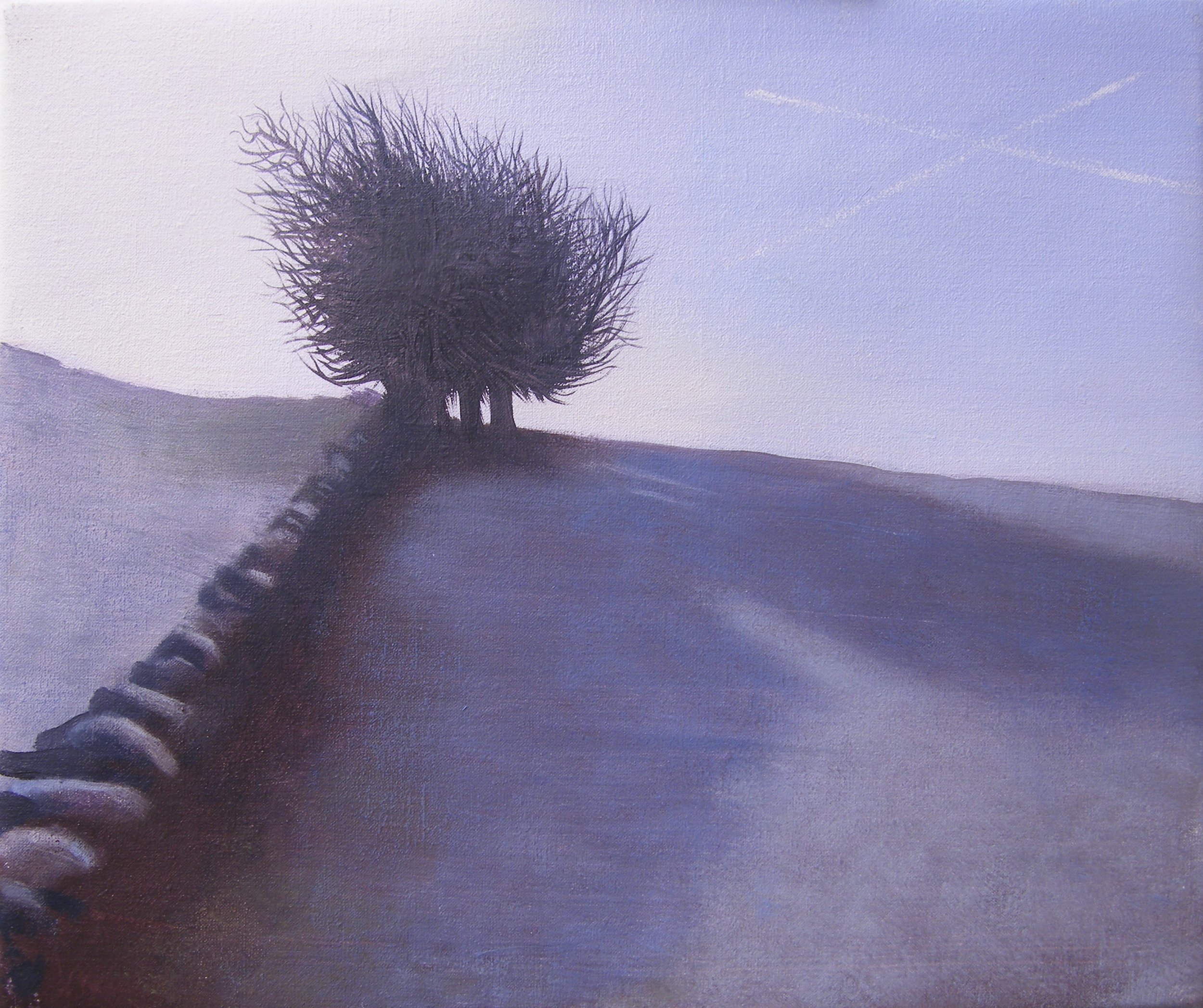 30 Hill with wall and Trees in Frost.JPG
