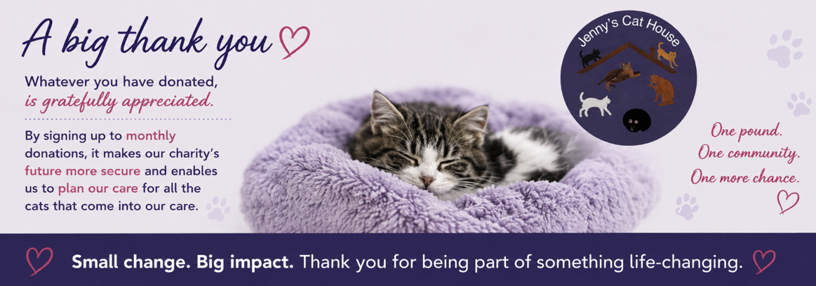 A kitten sleeping in a purple fluffy bed, with a charity logo for Jenny's Cat House and text expressing gratitude for donations and encouraging monthly contributions to help care for cats.