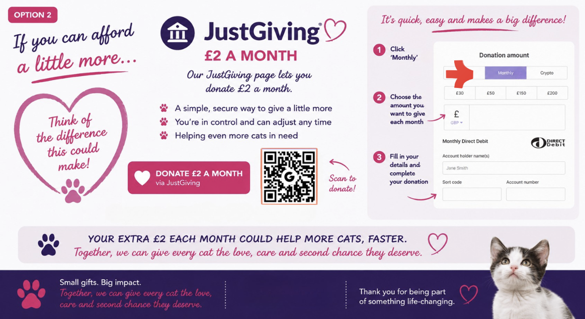 Informational flyer for JustGiving charity platform promoting a donation option of £2 a month to help cats. Features a QR code for donations, step-by-step instructions for donating, and a picture of a kitten.