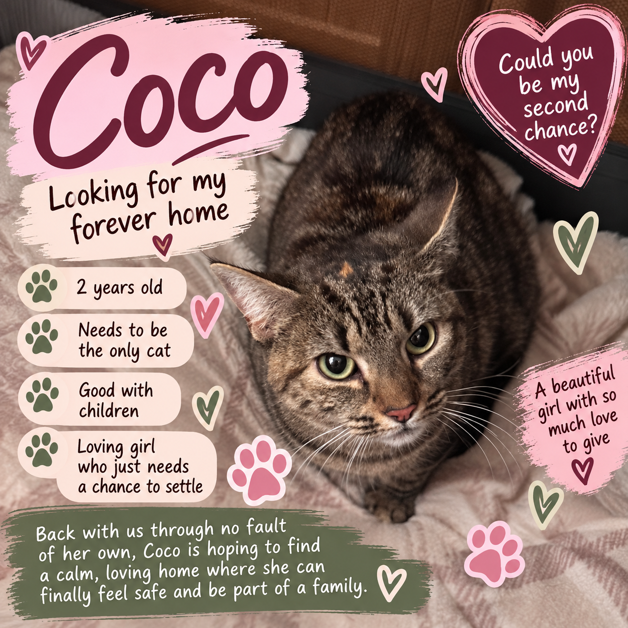 A tabby cat with green eyes lying on a soft blanket, surrounded by colorful text and heart and paw print graphics promoting it for adoption, looking for a loving forever home.