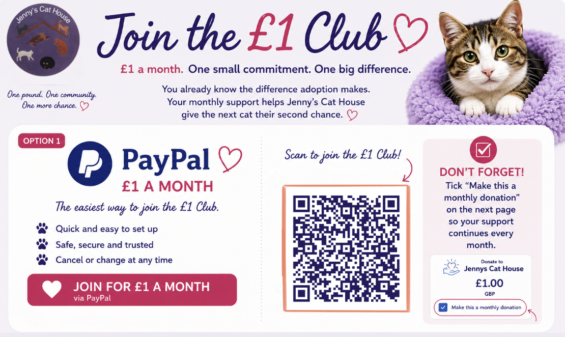 A promotional flyer for Jenny's Cat House encouraging viewers to join the £1 a month club through PayPal. It includes a QR code for joining, a picture of a domestic shorthair cat with green eyes laying on a purple blanket, and text emphasizing the benefits of community support for cats.