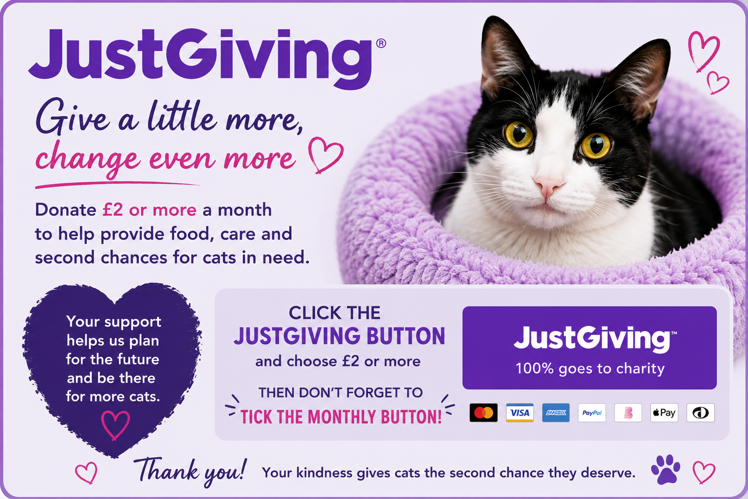 An advertisement for a charity called JustGiving encouraging donations to help cats. It features a black and white cat with yellow eyes sitting inside a purple fuzzy bed. The text urges people to donate at least £2 per month and click a donation button. The image includes hearts, a paw print, and logos of payment options like Mastercard, Visa, American Express, PayPal, and Apple Pay.