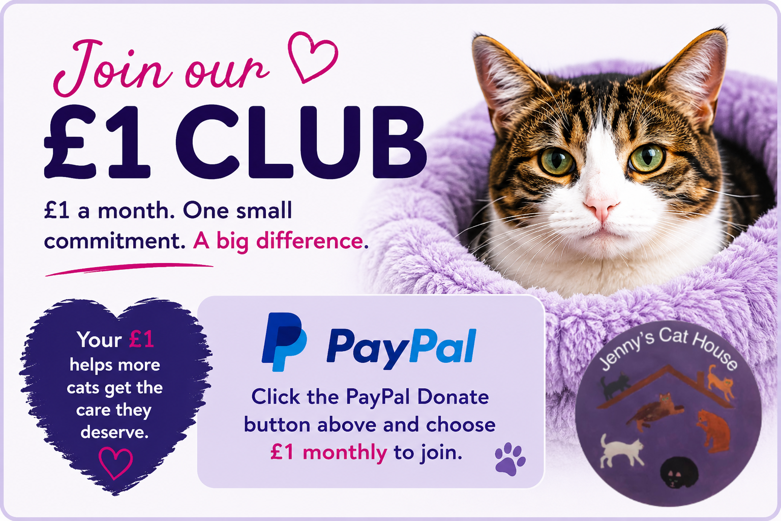A promotional poster for Jenny's Cat House inviting people to join a £1 monthly club to support cats. The poster prominently features a close-up of a tabby cat with green eyes sitting in a purple fluffy bed. The text states, 'Join our £1 CLUB,' with additional details about the donation, including a PayPal button suggestion. There are heart and paw print icons and a colorful logo of Jenny's Cat House with silhouettes of various cats.