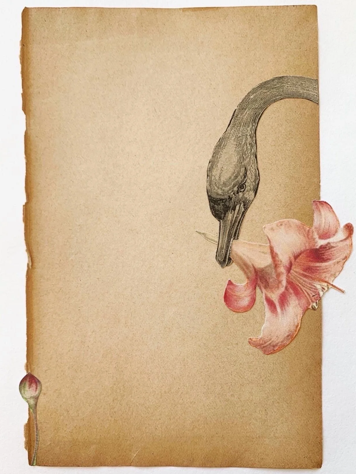 CaroleTurini.Si(cy)gne d'élégance.Papers:old cover page.2022.jpg