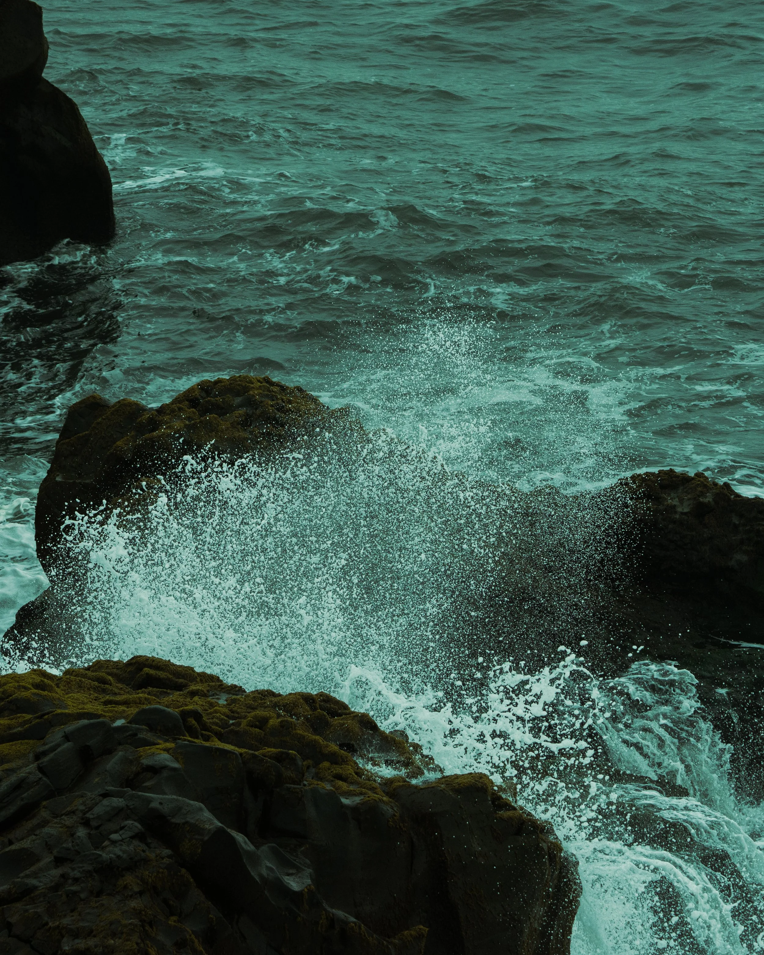DSC03284.jpg