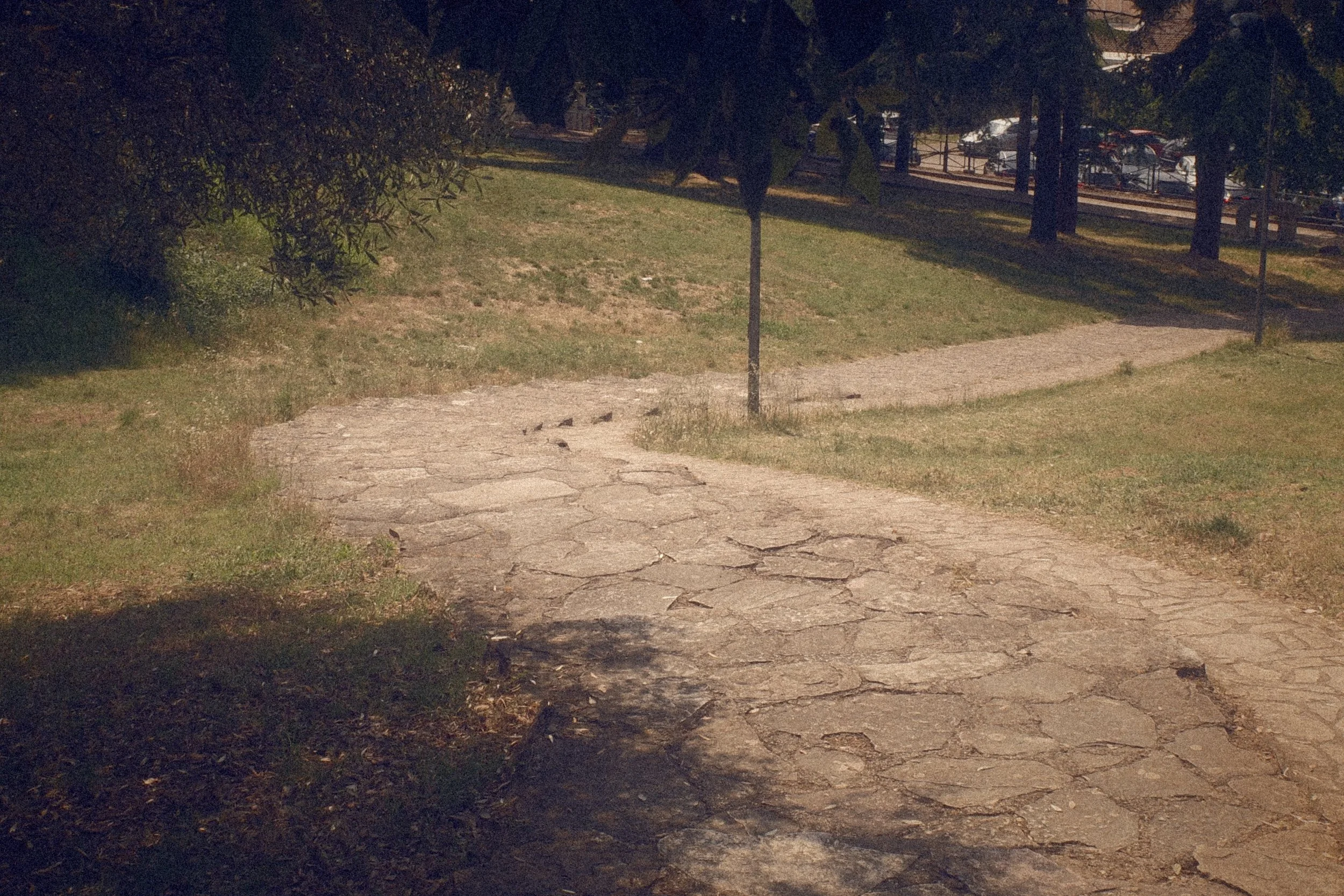 R0000928.jpg