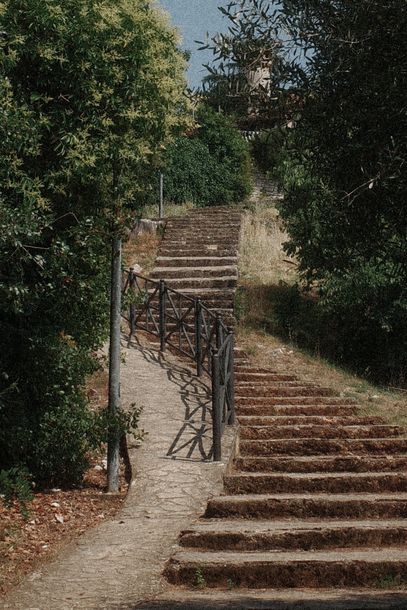R0000927.jpg