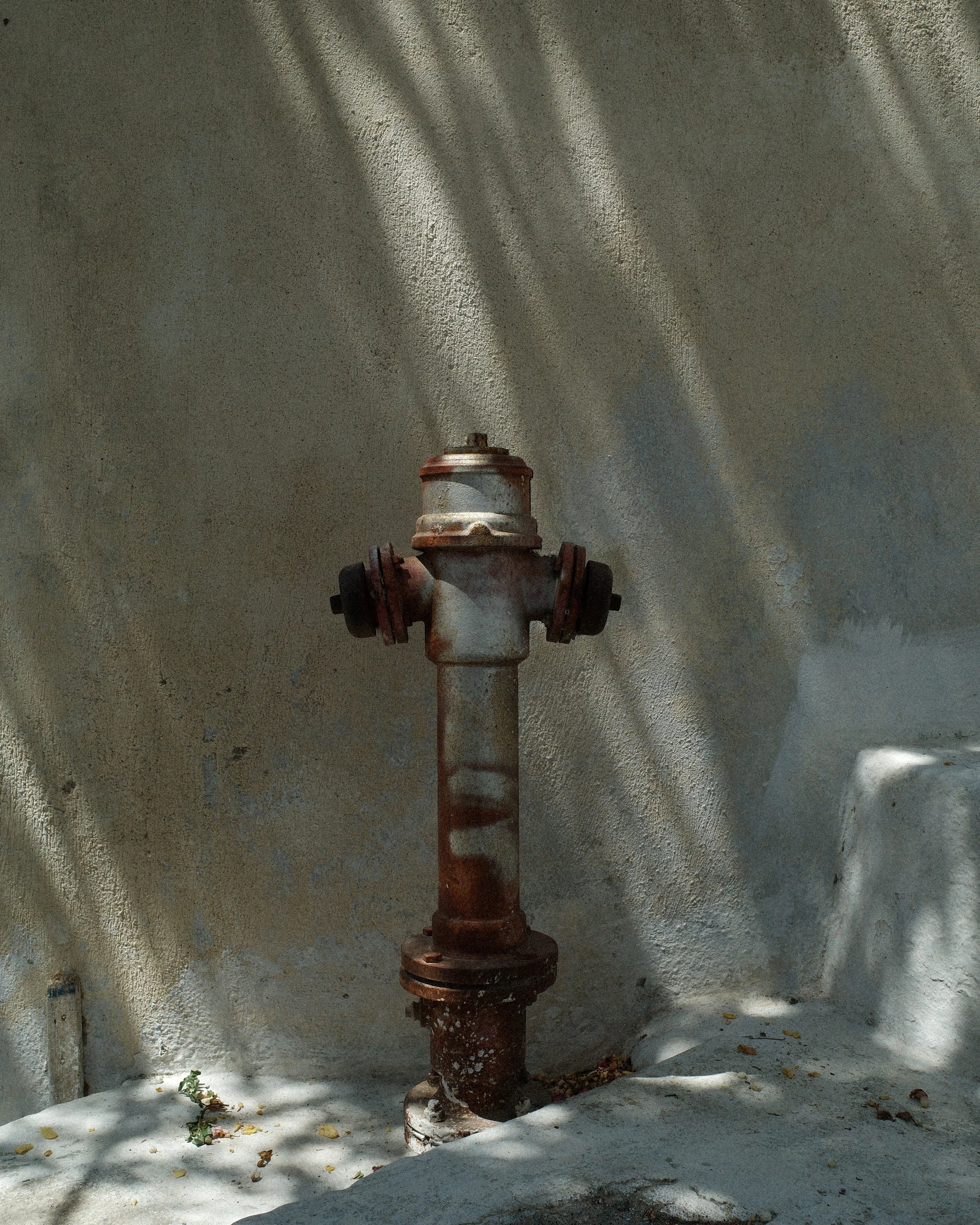 R0002646.jpg