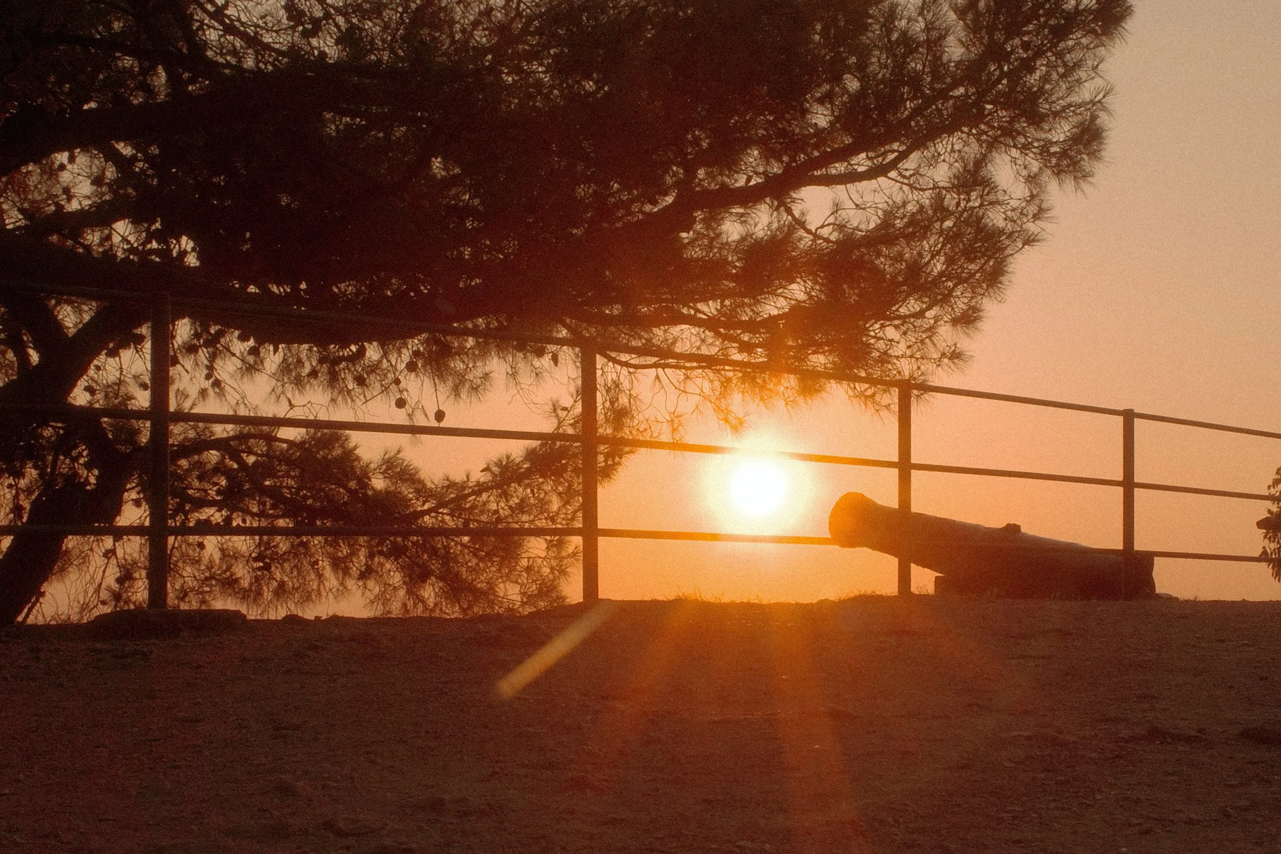 R0001117.jpg