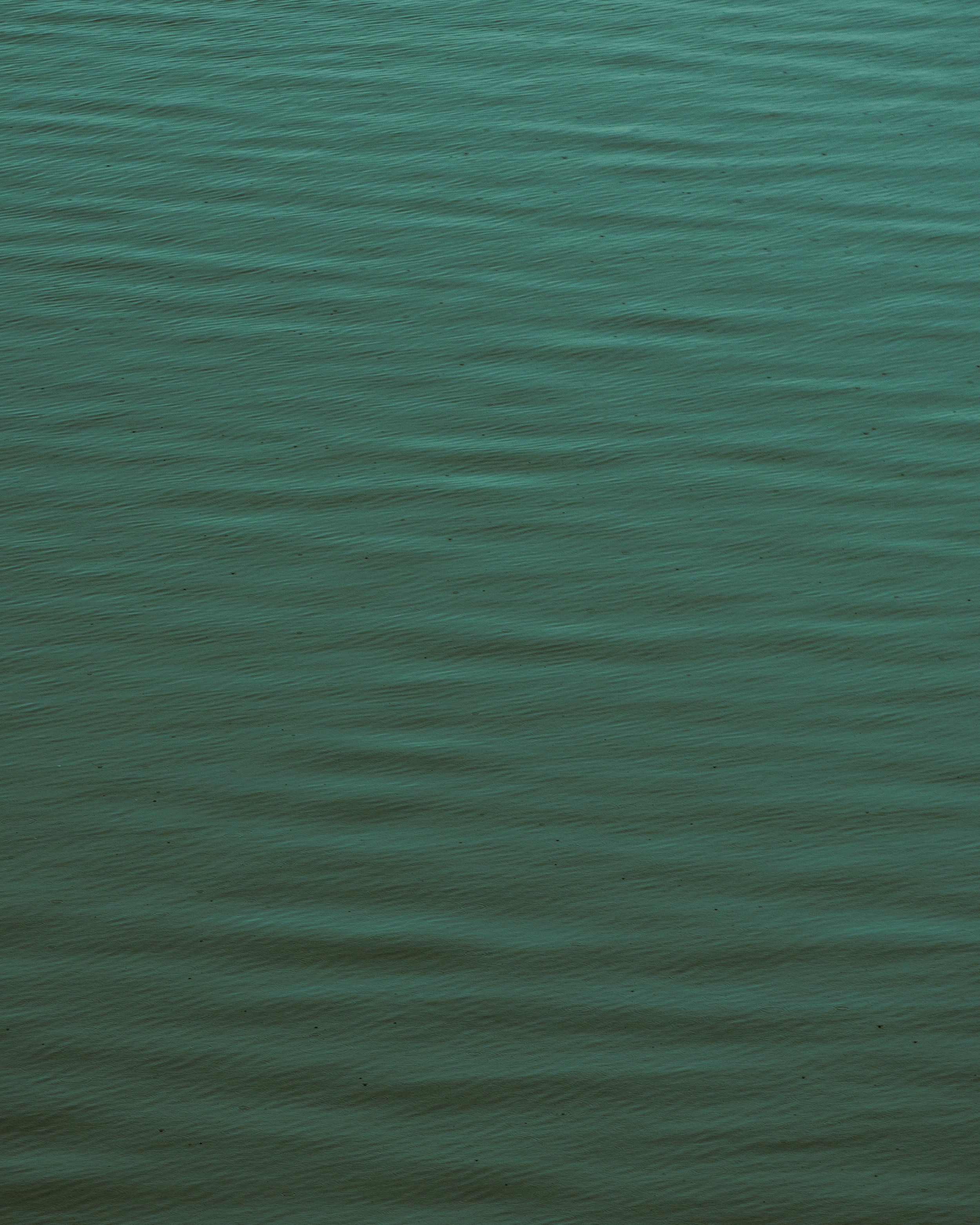 DSC03483.jpg