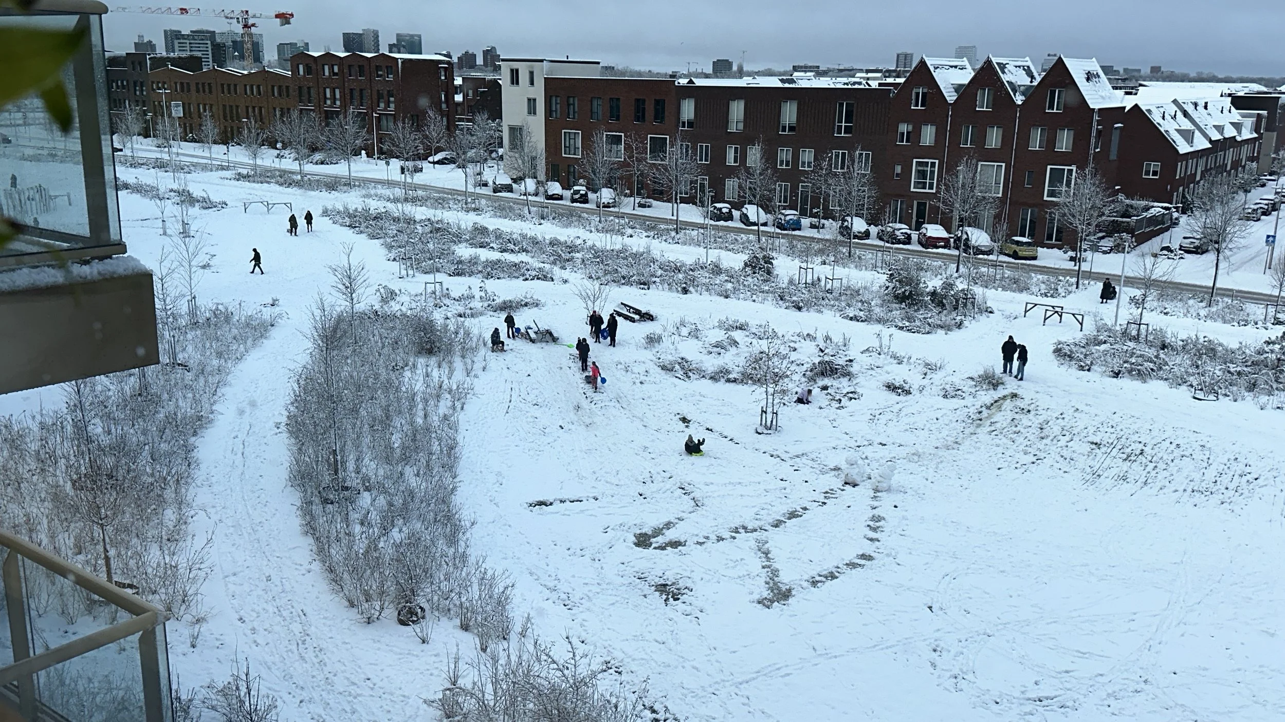 Day 61 of Embracing the Wonders of Life – When Snow Rewrites Time