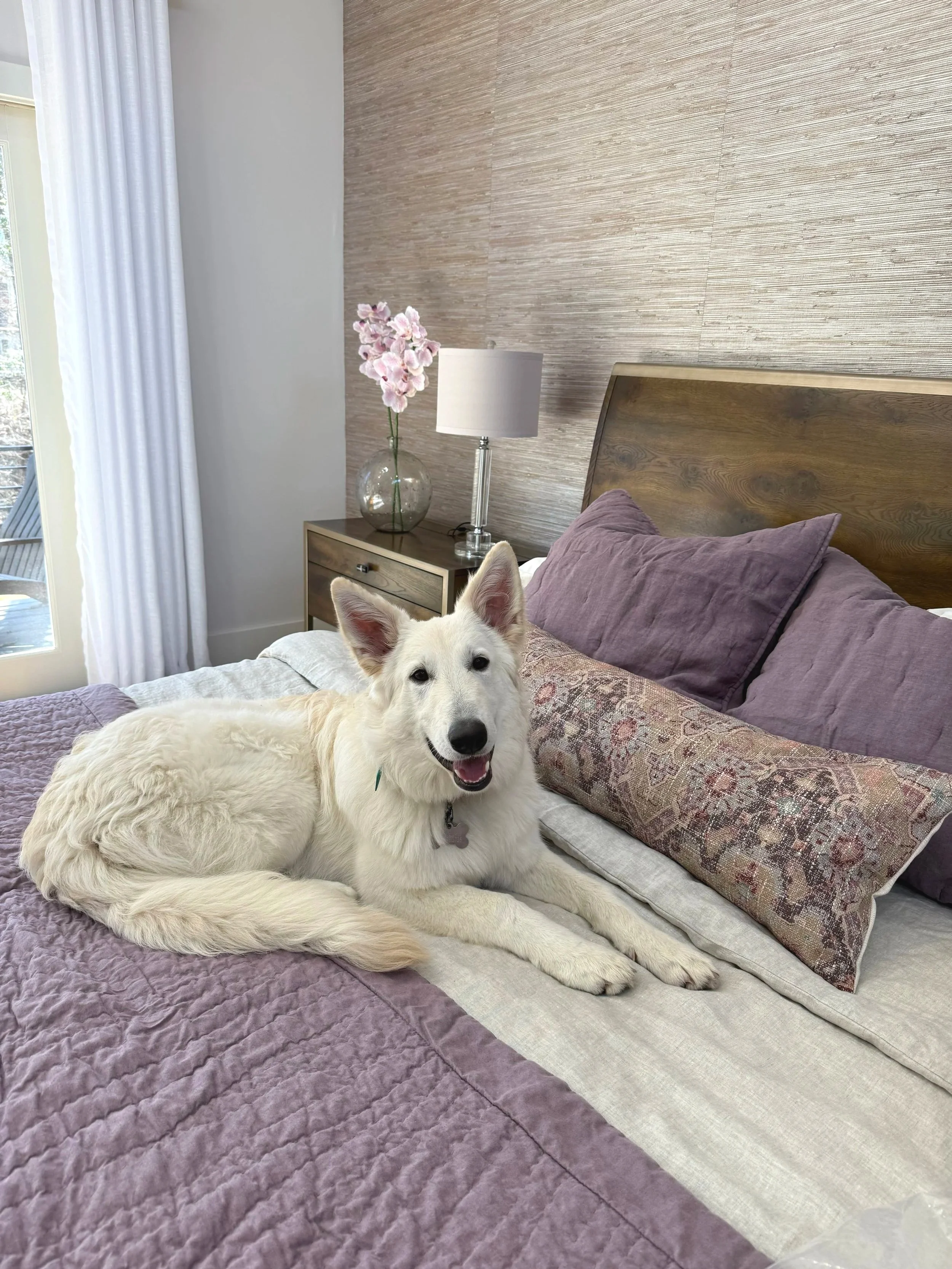 PRIMARY SUITE RENOVATION