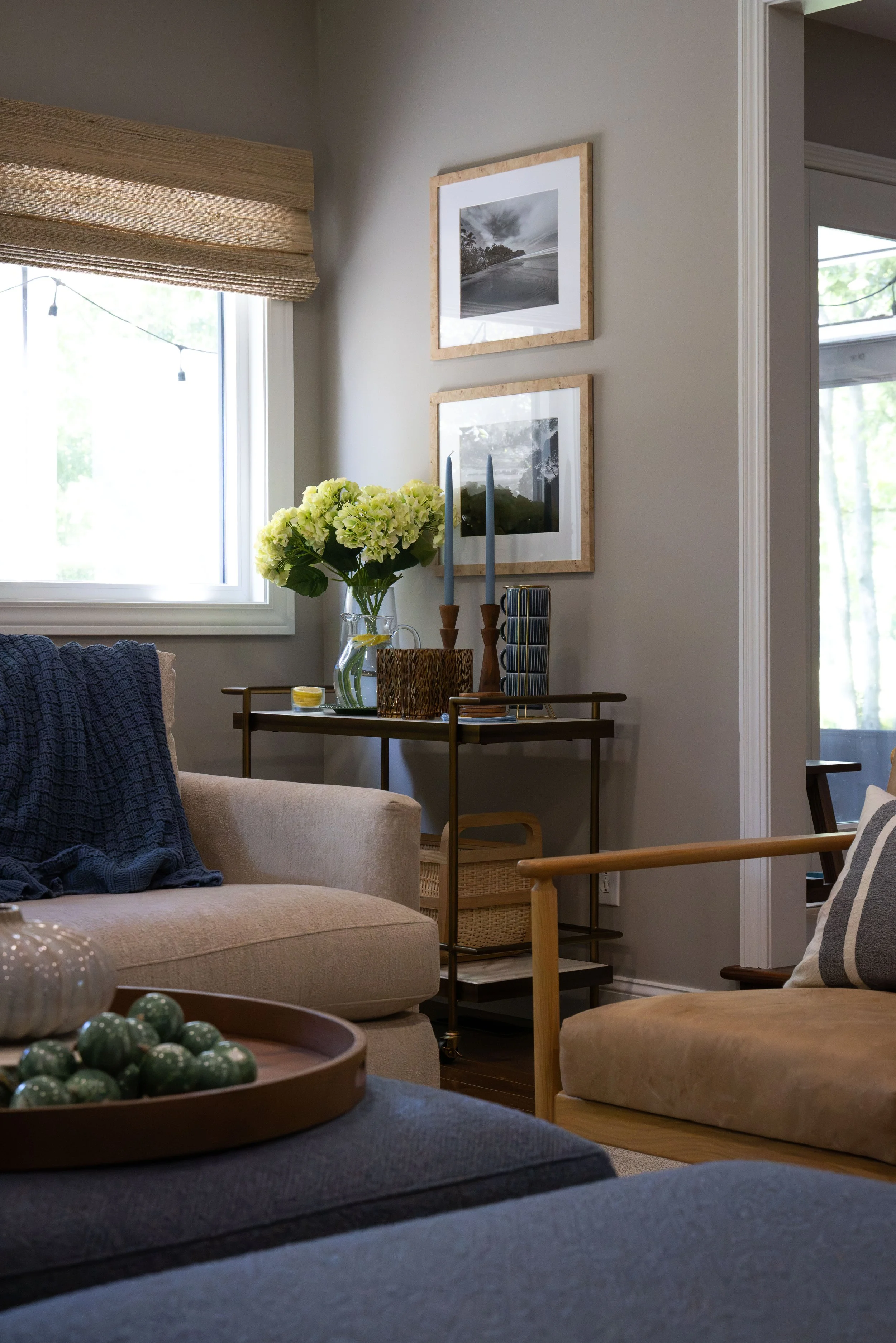 FAMILY ROOM RENOVATION