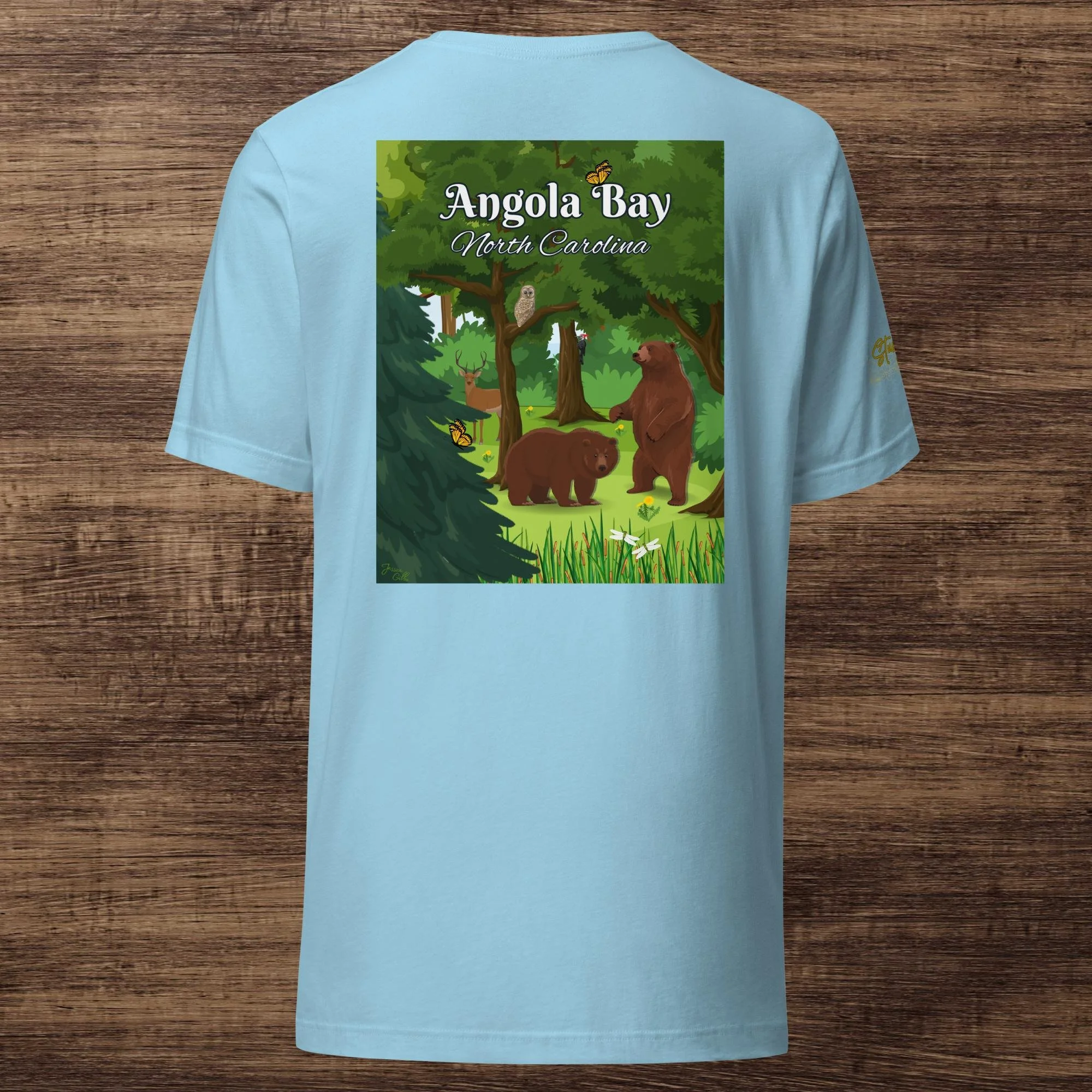 unisex-staple-t-shirt-ocean-blue-back-64d23743e849d.jpg