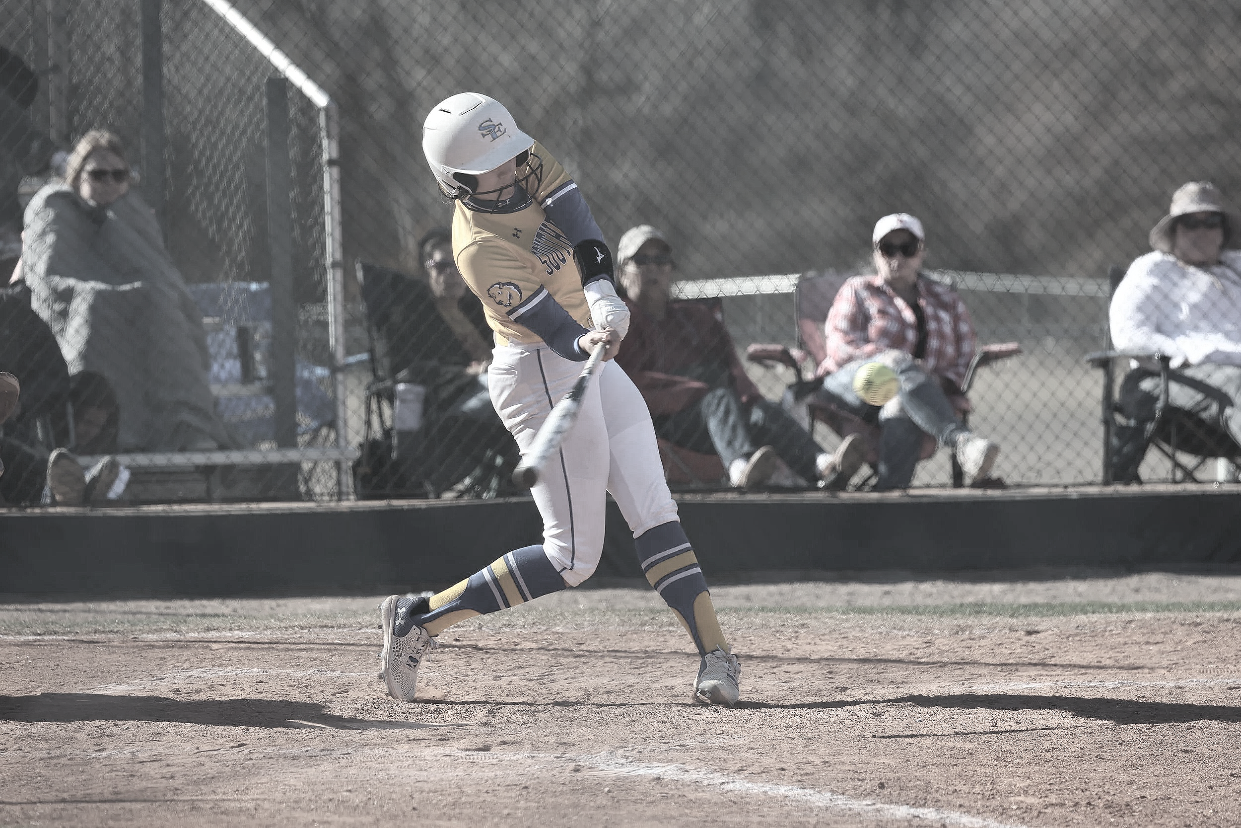 How to Build a Softball Recruiting Profile That Gets Noticed