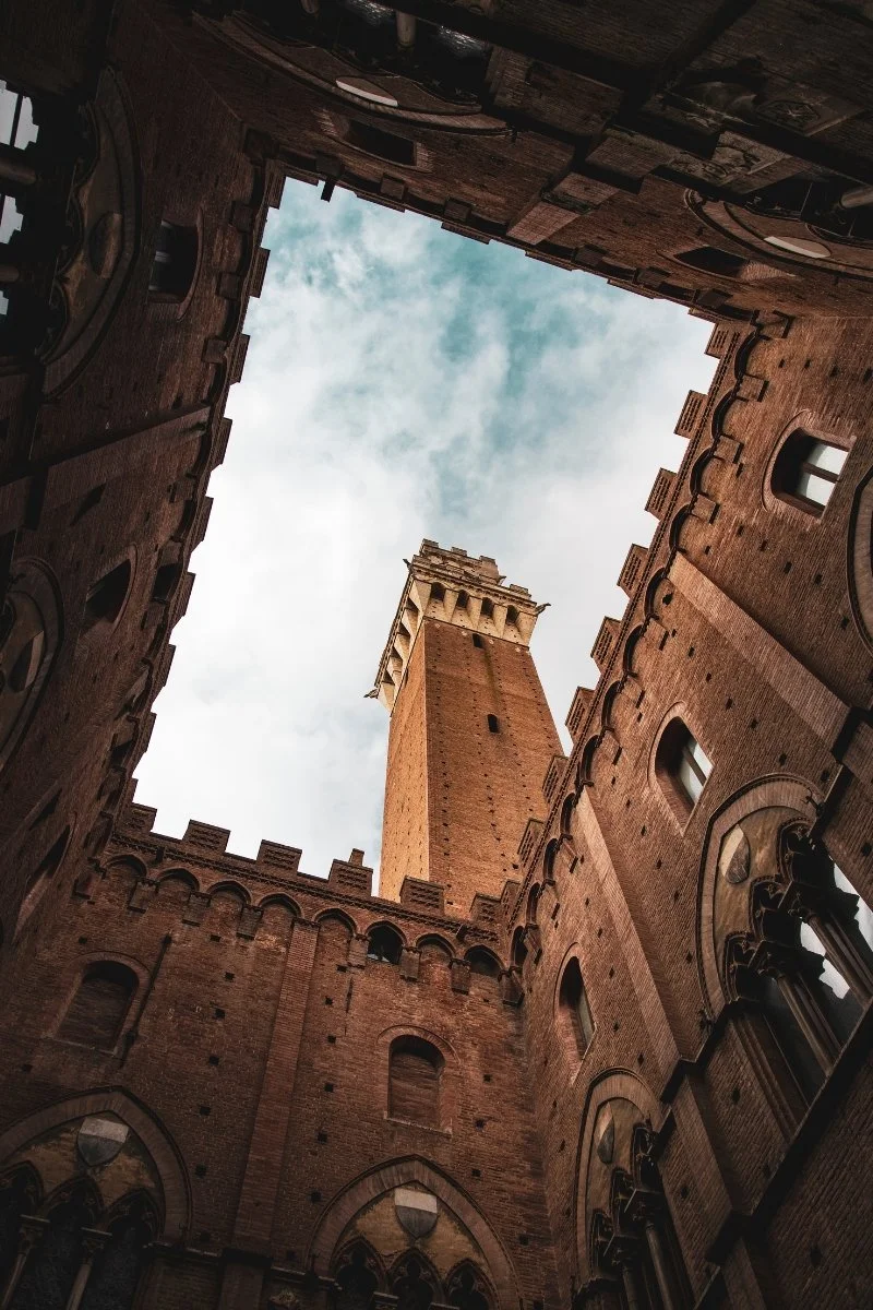 Untitled (800 x 1200 px).jpg