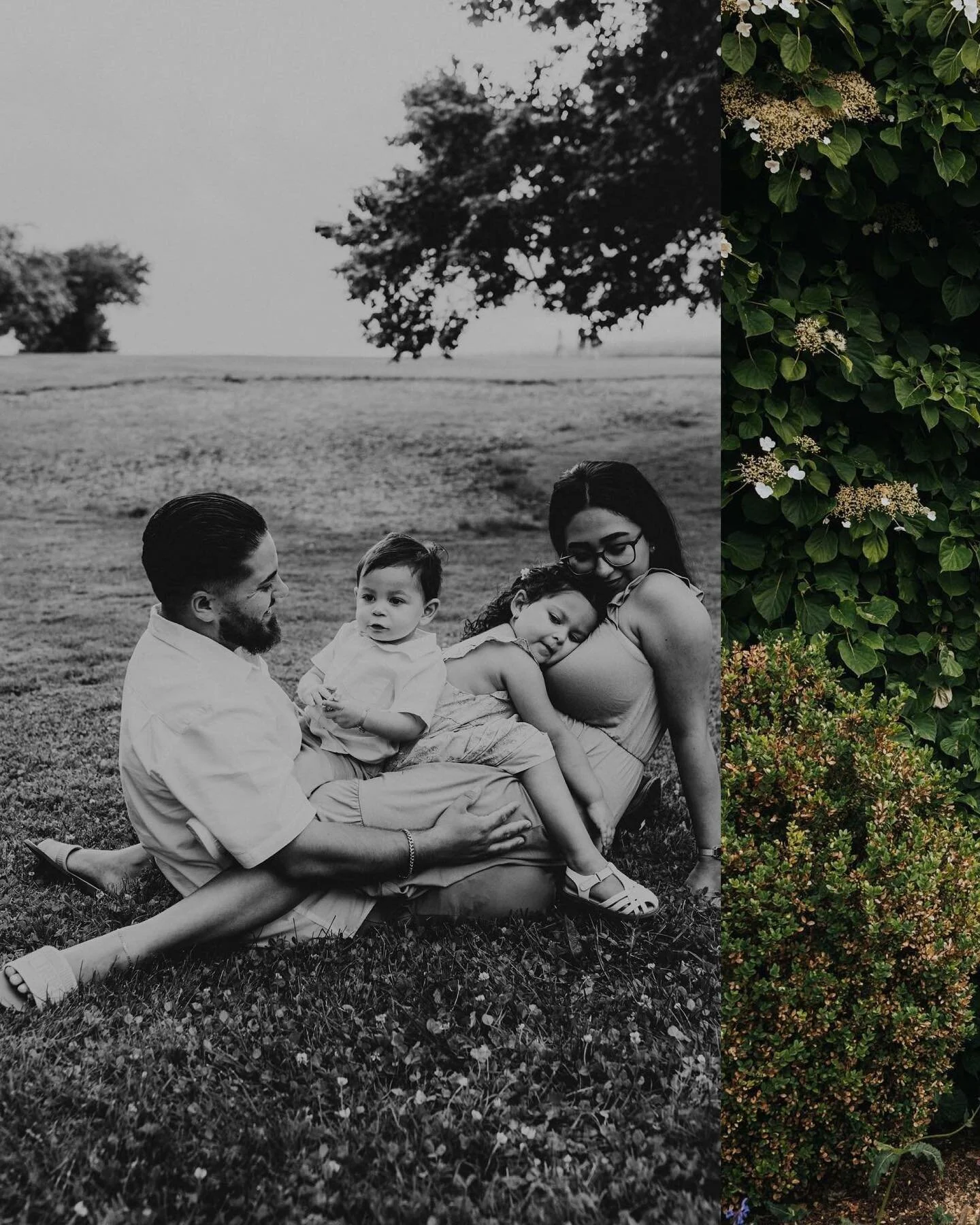 This beautiful family drove for 24 hours straight from Florida! We talked about babies, winters in CT, and summers in FL. We walked around and enjoyed the evening while they played and loved each other and I snapped some photos! As awkward as it can 