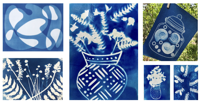 Cyanotypes 