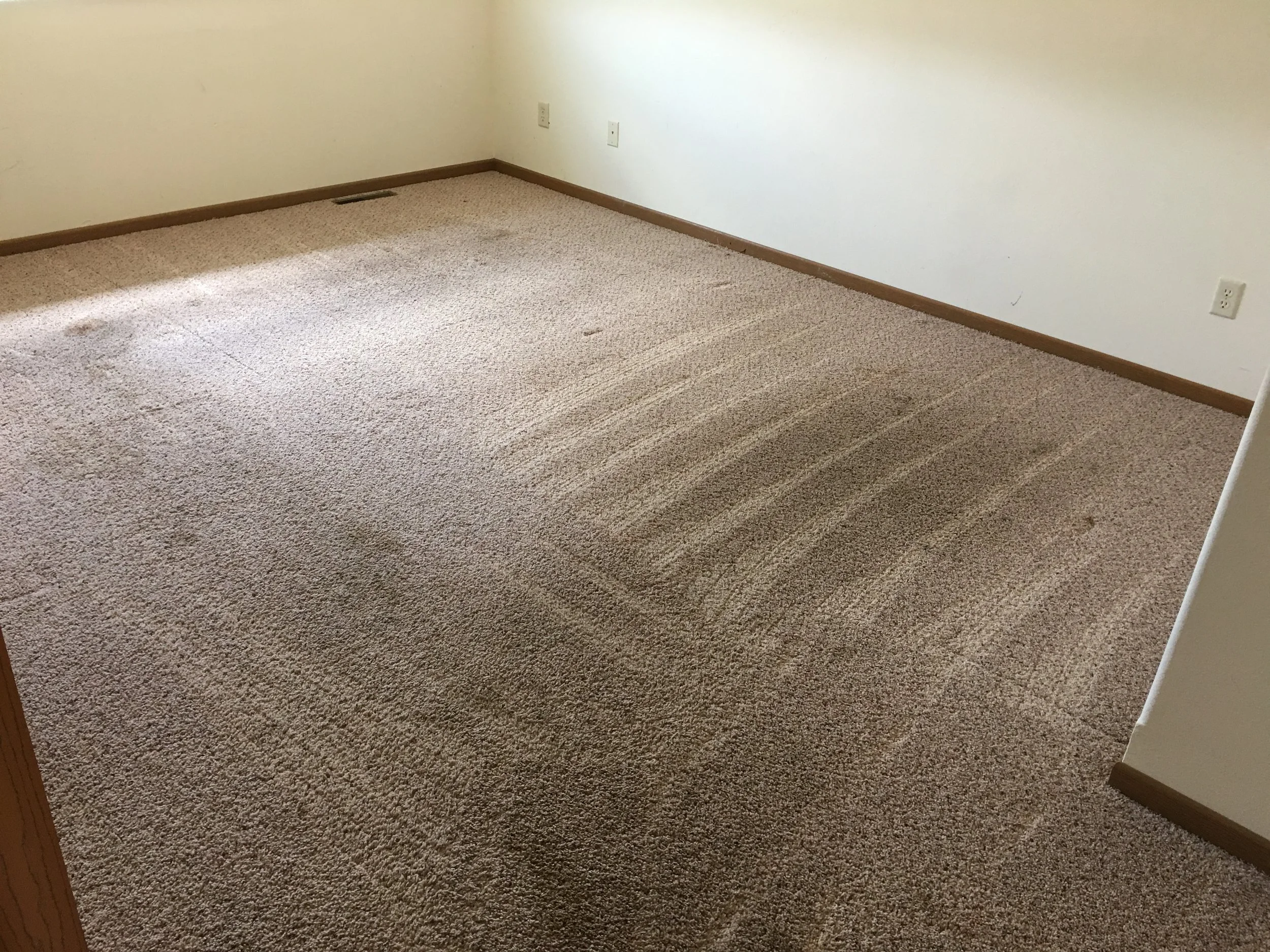 Empty room with beige carpet, beige walls, and wooden baseboards, with visible vacuumed lines on the carpet.