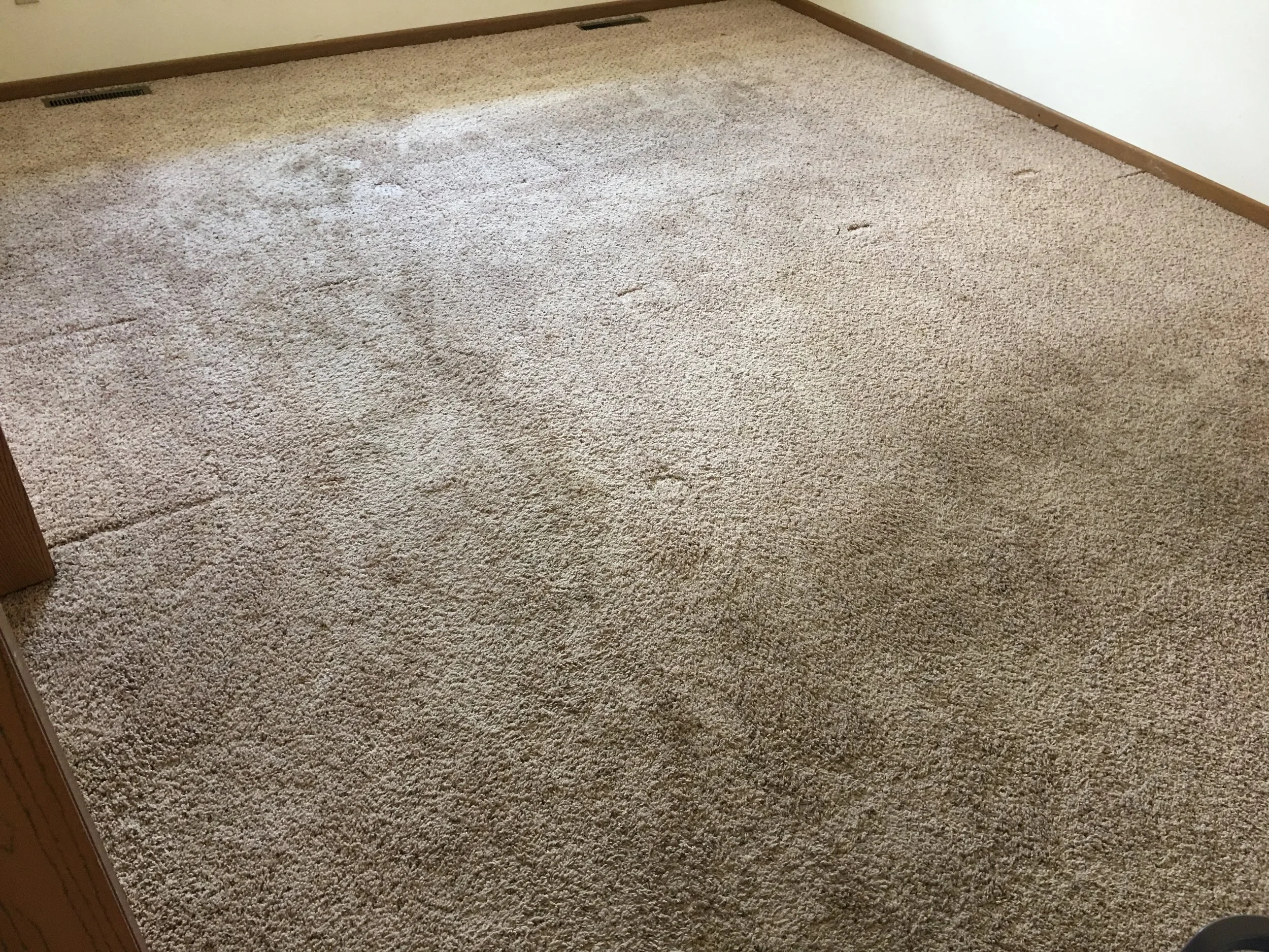 A beige carpeted floor with multiple footprints and some areas of discoloration, next to a white wall and wooden baseboard.