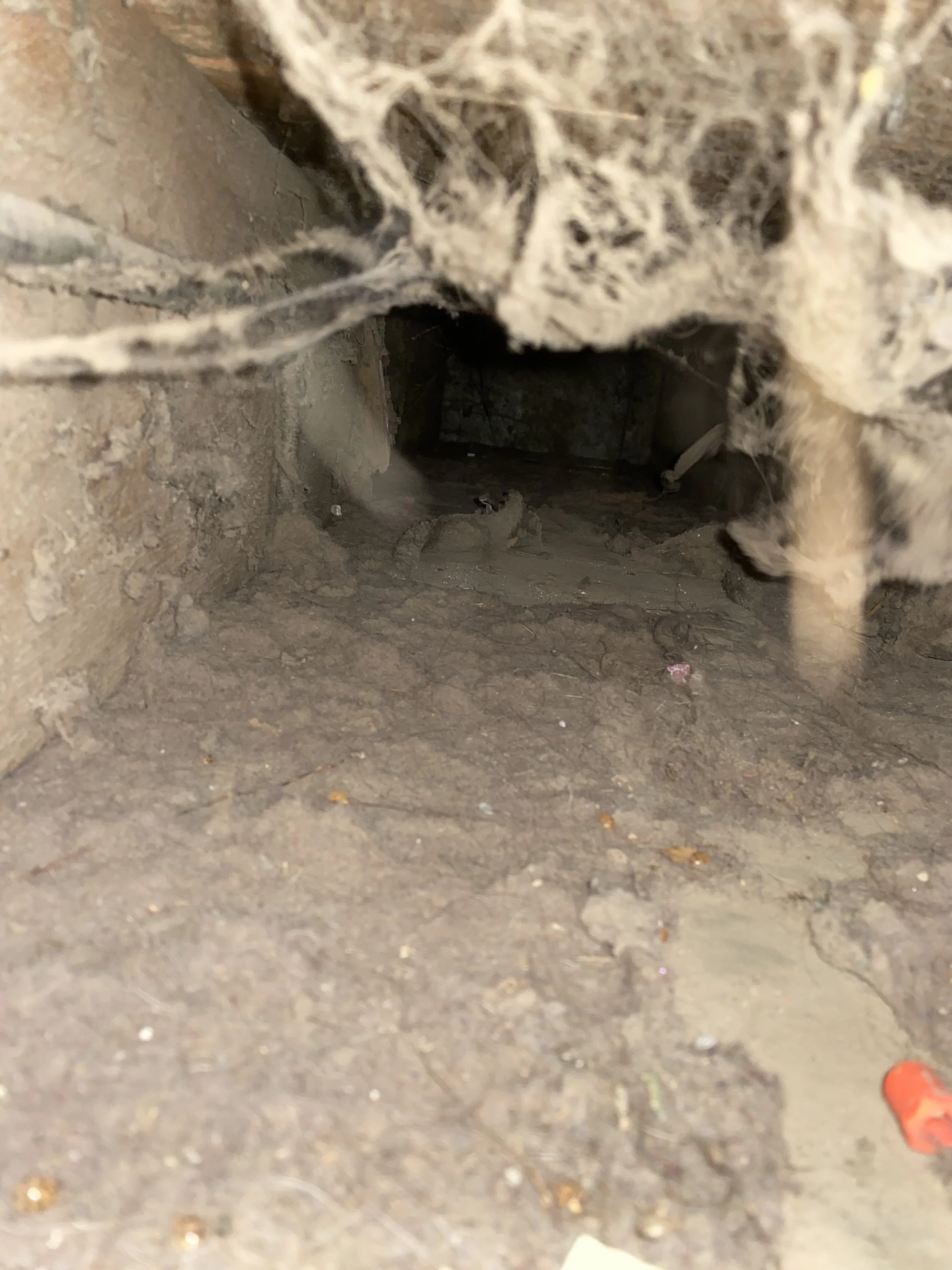 A close-up of a dusty and cobwebbed crawl space or vent opening in a wall with dirt and debris on the floor.