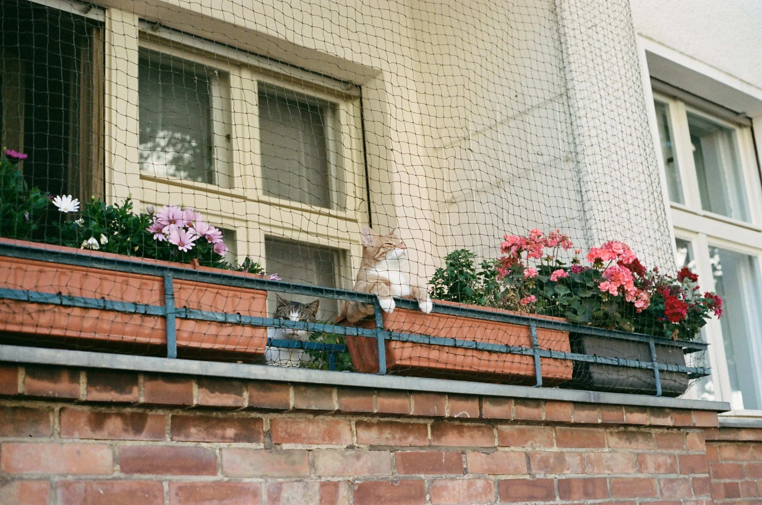 WhatsApp Image 2025-11-01 at 23.53.08_040f457a.jpg