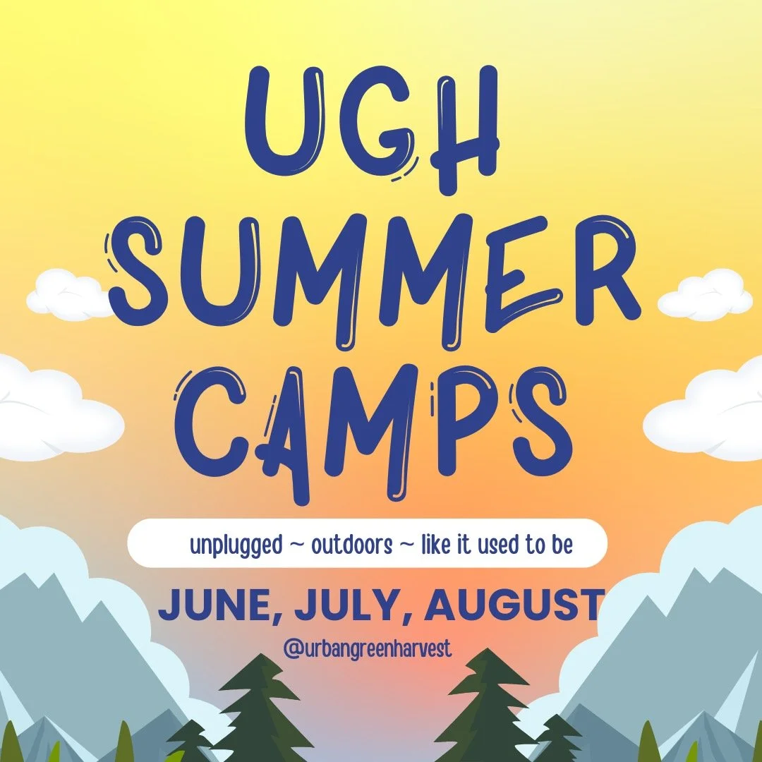 ☀️ Give your child an old-fashioned summer&mdash;and a head start this fall.
Long days outside.
Dirty hands.
Fresh air.
Garden harvests.
Animal chores.
Building projects.
Farm-fresh meals.
Friendships.
Real play.
At Farm School, children spend their 