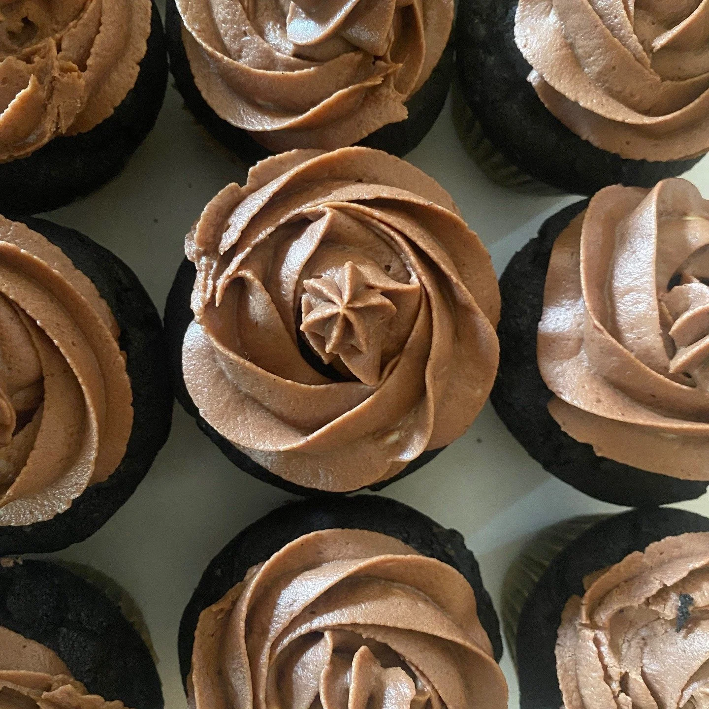 Shoutout to Susan, one of our Azure Standard drop members, for the incredible chocolate cupcakes this week! 🍫🧁
Made with Azure Standard ingredients picked up right here at the farm&mdash;proof that good ingredients + generous hearts = something rea