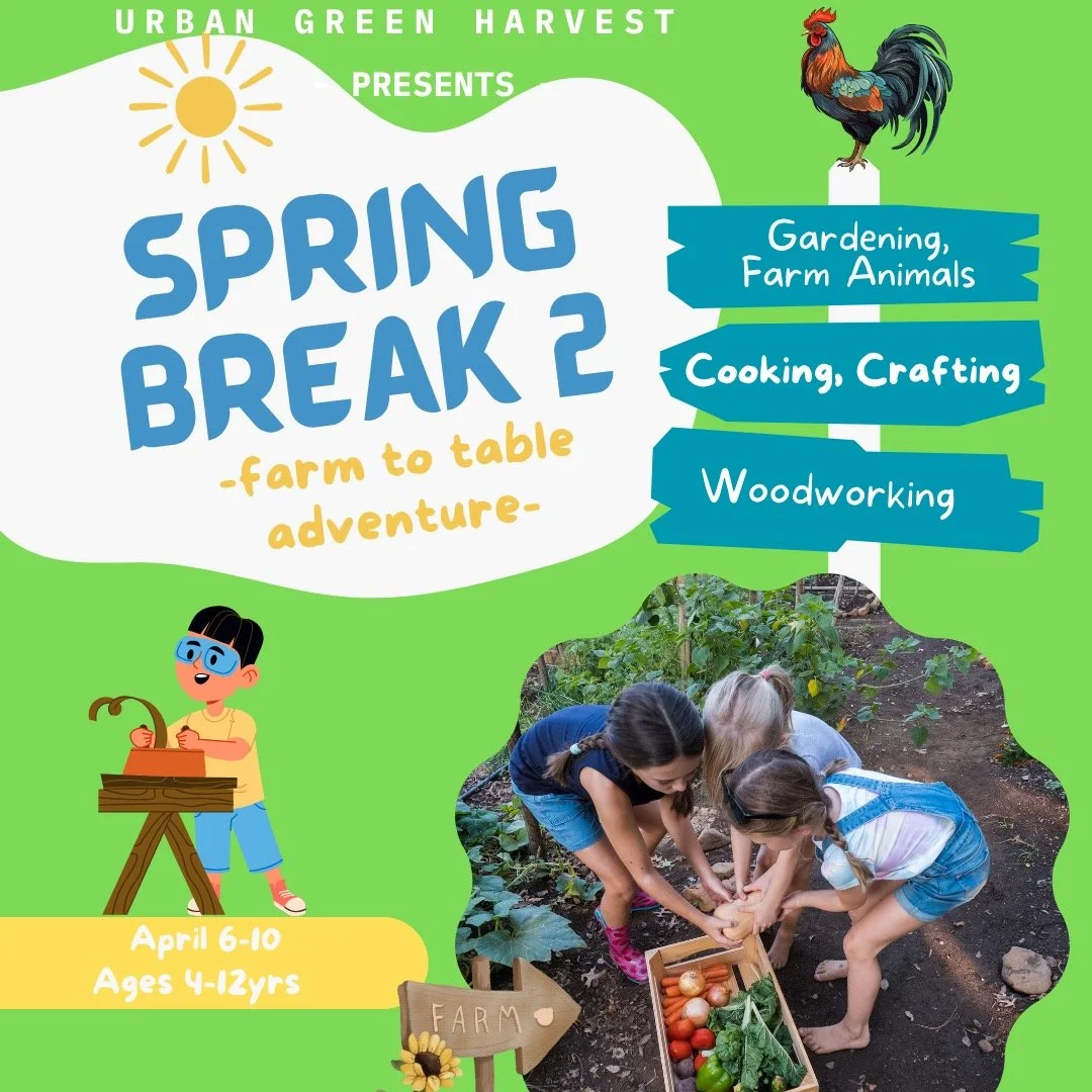 Spring Break Farm Camp 🌿
Ages 4&ndash;12 | West Boise
Give your child a hands-on farm experience during spring break! Kids will garden, cook, build, explore, care for animals, and play outside (yes, including the zip line 🙌).
🥕 Meals included &mda