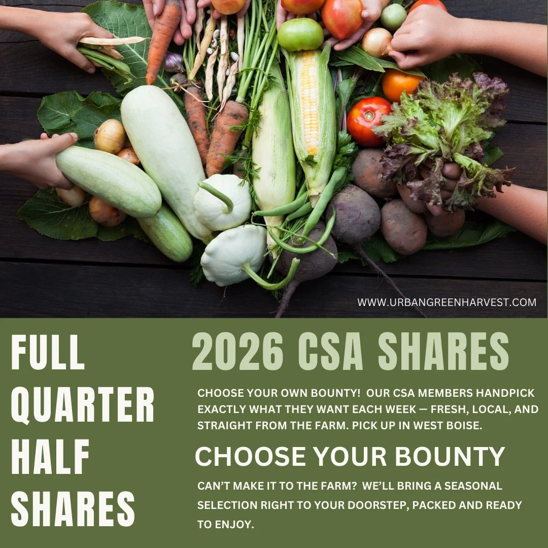 Choose your own bounty! 🥬🍅 
Your share stays the size you picked &mdash; quarter, half, or full &mdash; but you get to decide which vegetables and herbs fill it. Pick the items that work for your week &mdash; a few extra greens for a dinner party, 