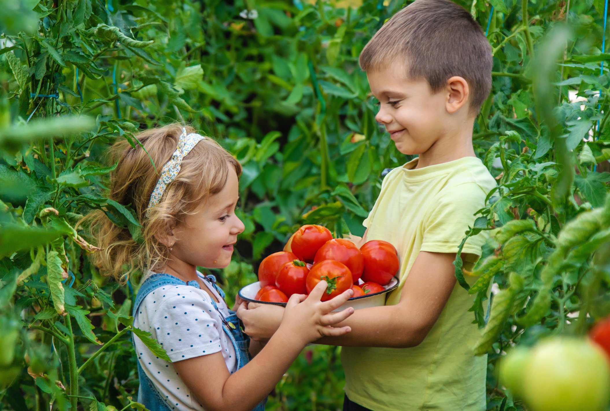 Boy and girl holding a basket of tomatoes.
