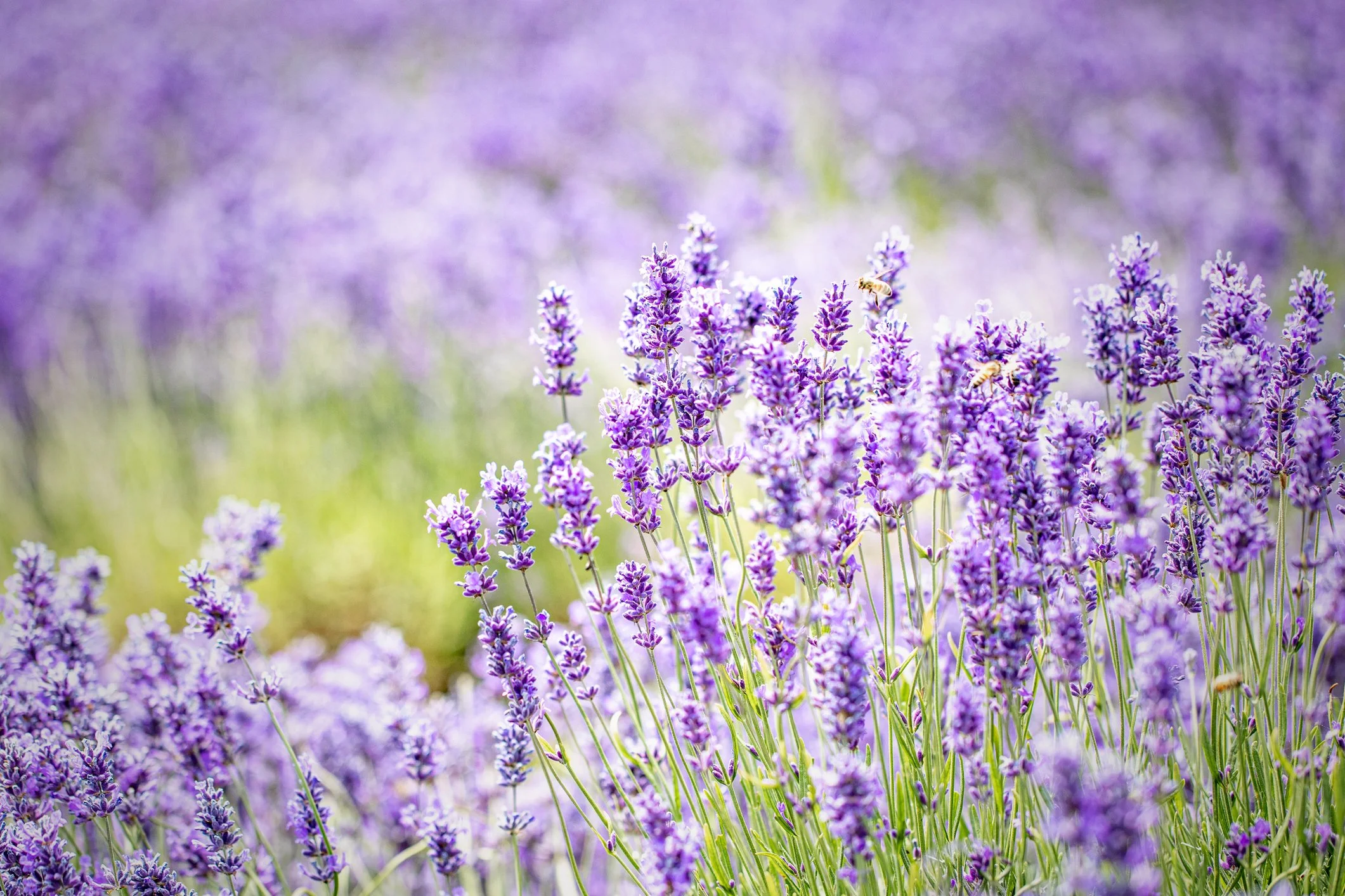 Mother’s Day Reflection