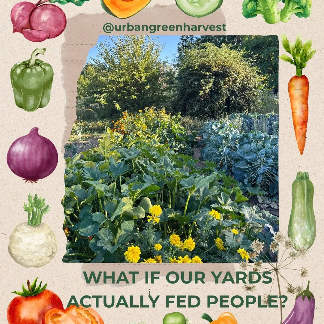 What if our yards actually fed people? 
One of the strangest things modern neighborhoods normalized is spending enormous amounts of time, money, water, and chemicals maintaining landscapes that produce absolutely nothing.

No food.

No meaningful har