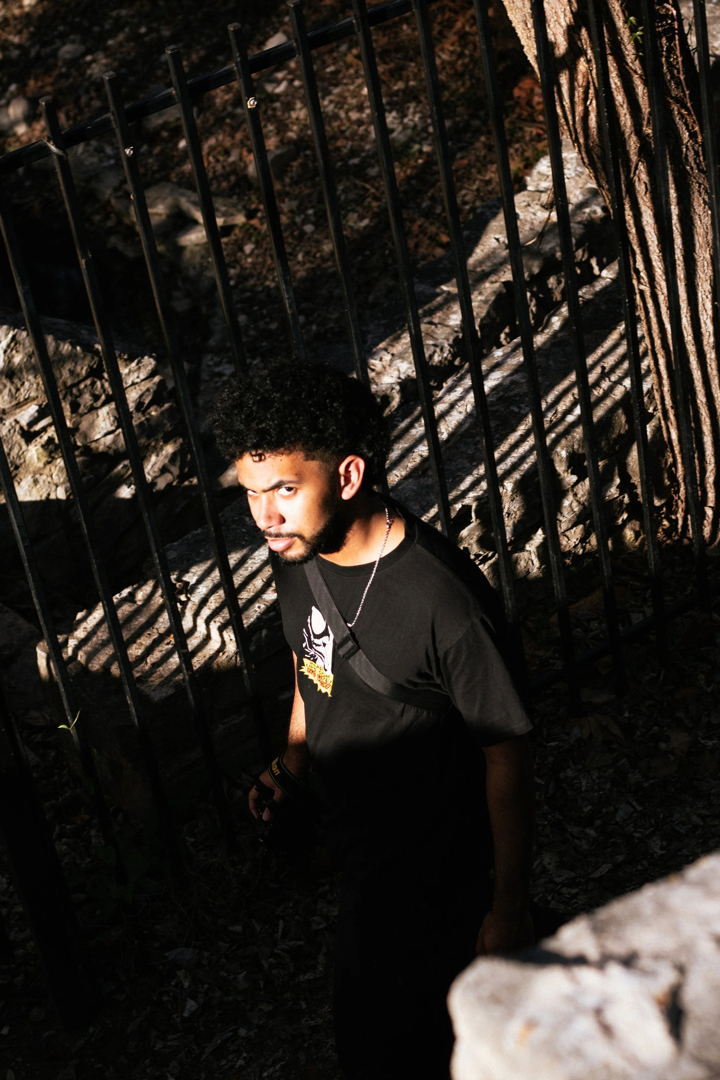 A young man with curly hair and a beard standing outdoors near a tree with a metal fence in the background. The sunlight casts shadows on the scene, and he is wearing a black t-shirt with a graphic design.