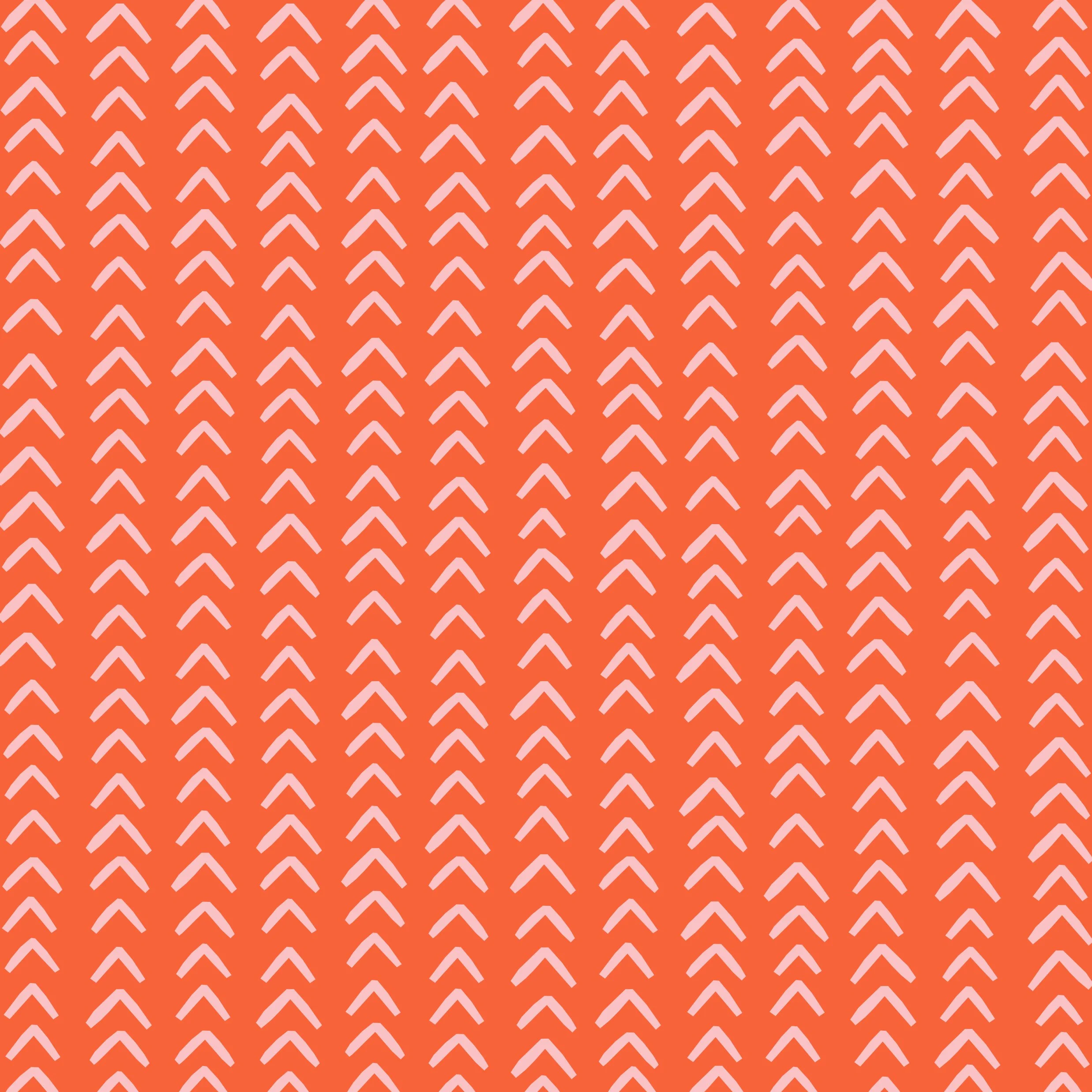 LHC_B_Chevron_Tomato_Blush copy.jpg